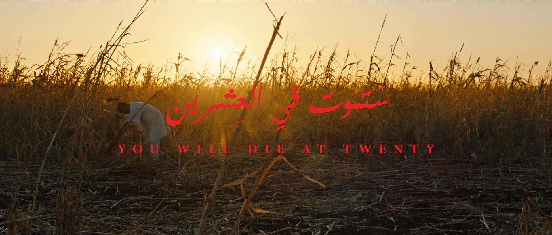 You Will Die at 20 (2022) —  shot,  lighting