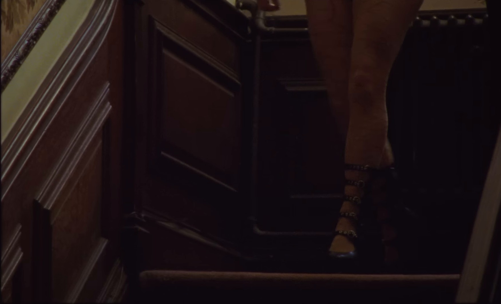 The Feminine Urge (2024) —  shot,  lighting