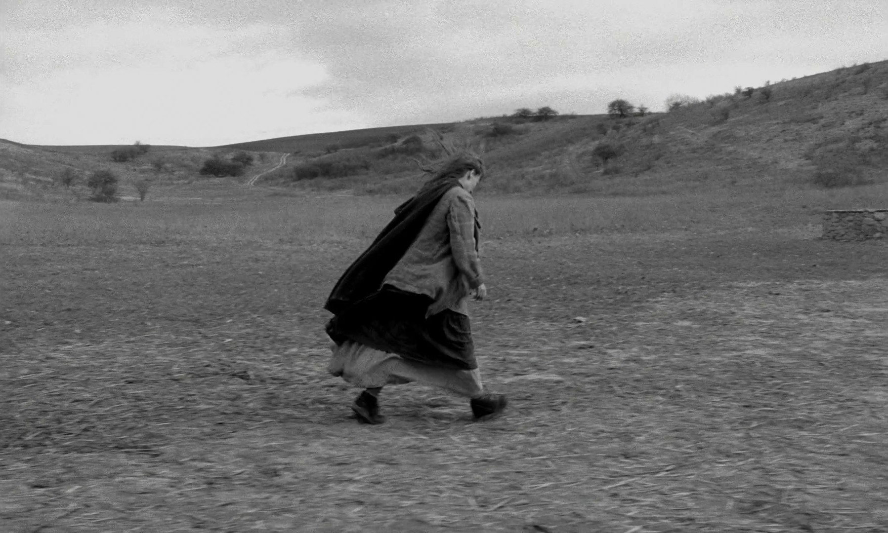 The Turin Horse (2012) —  shot,  lighting
