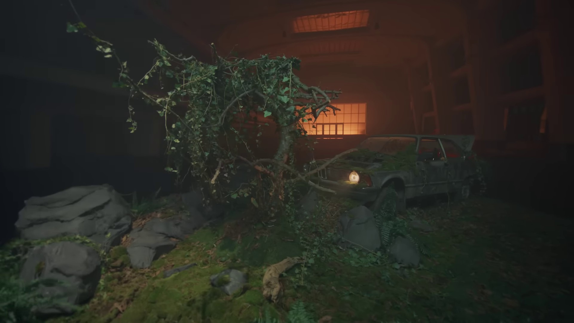 De couleurs vives  (2022) —  shot,  lighting