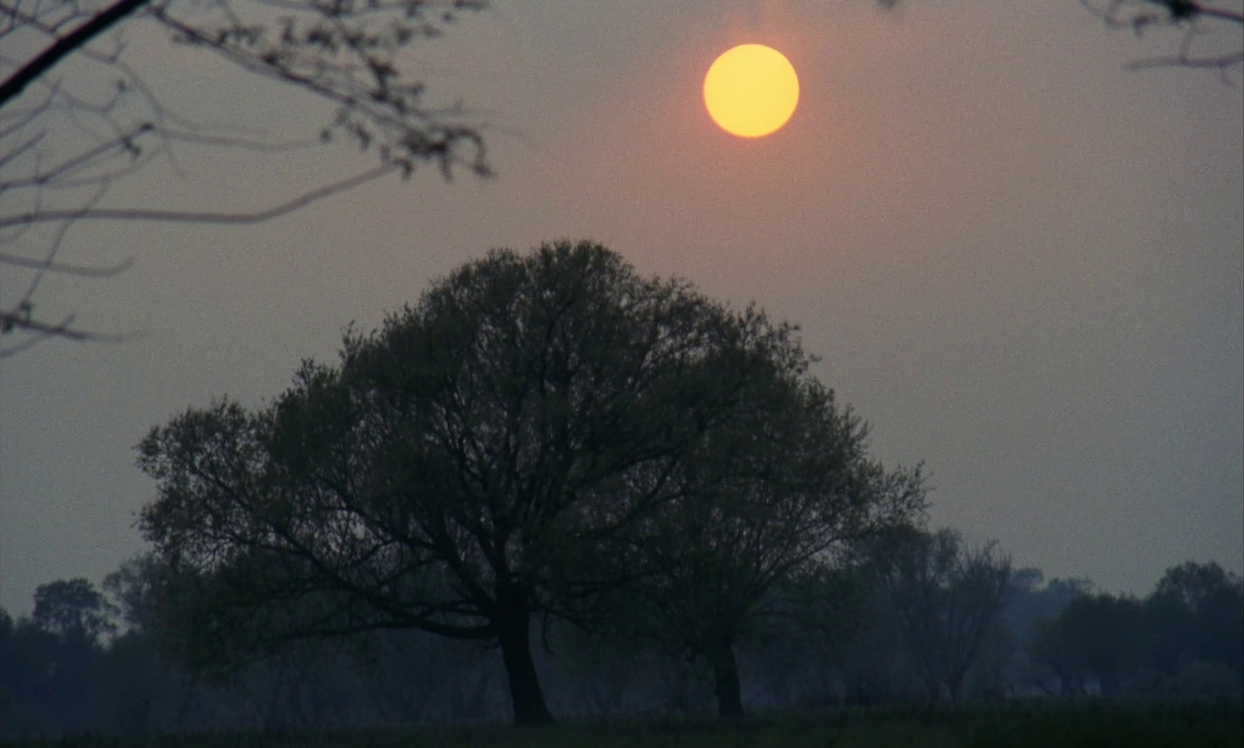 On the Silver Globe (1989) —  shot,  lighting