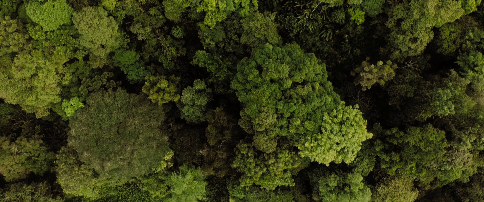 The 355 (2022) —  shot,  lighting