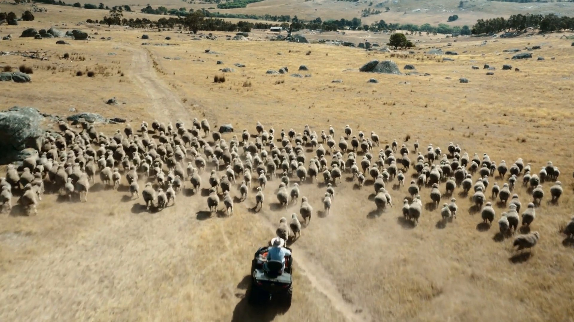 Qantas "Safety 2016" (2016) —  shot,  lighting