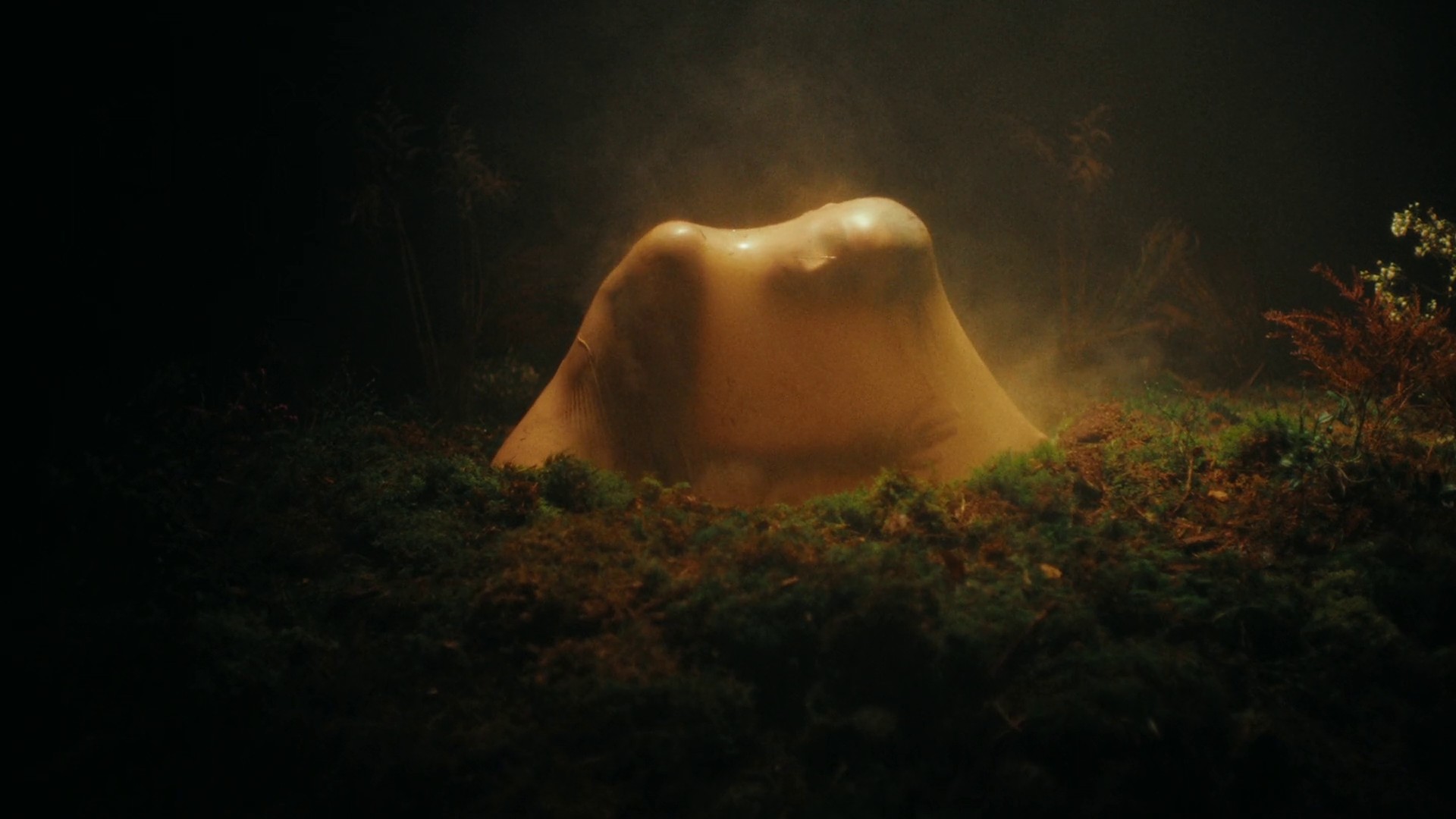 Him or her  (2022) —  shot,  lighting