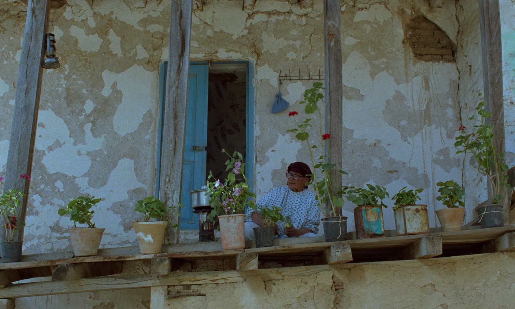 Through the Olive Trees (1995) —  shot,  lighting