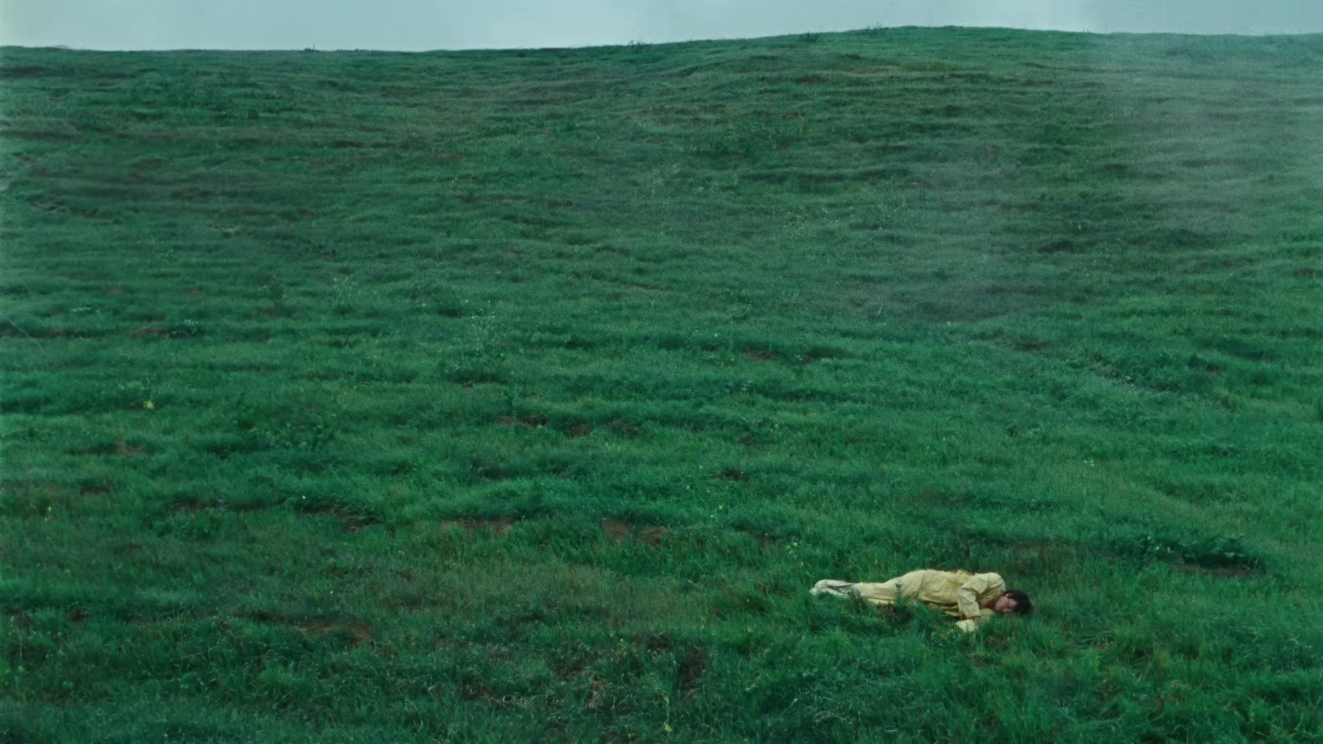 Aphid (2024) —  shot,  lighting