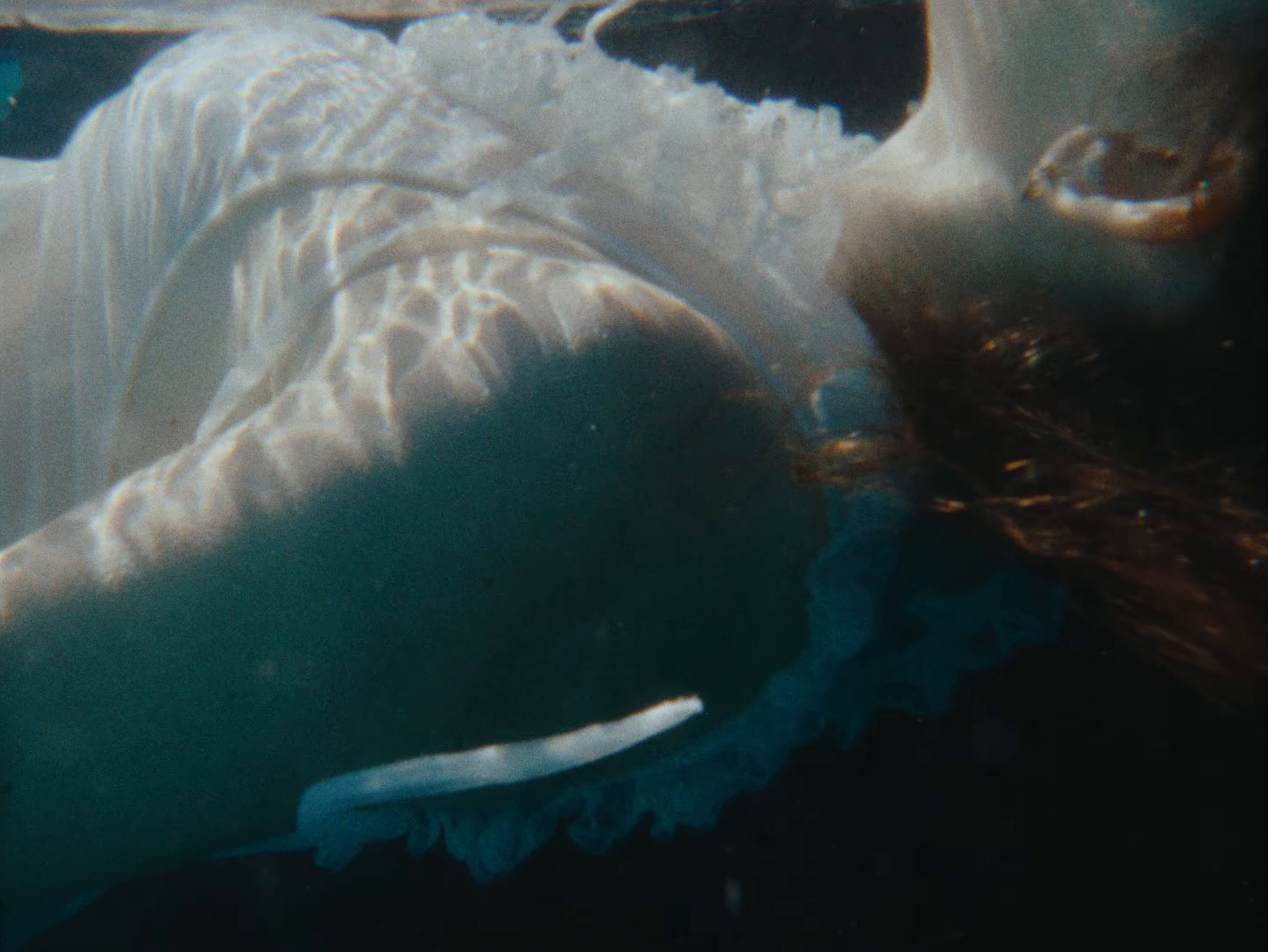 Luz del Mar (2024) —  shot,  lighting