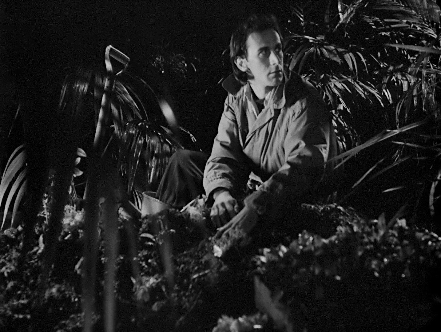 Singapore Sling (1990) —  shot,  lighting