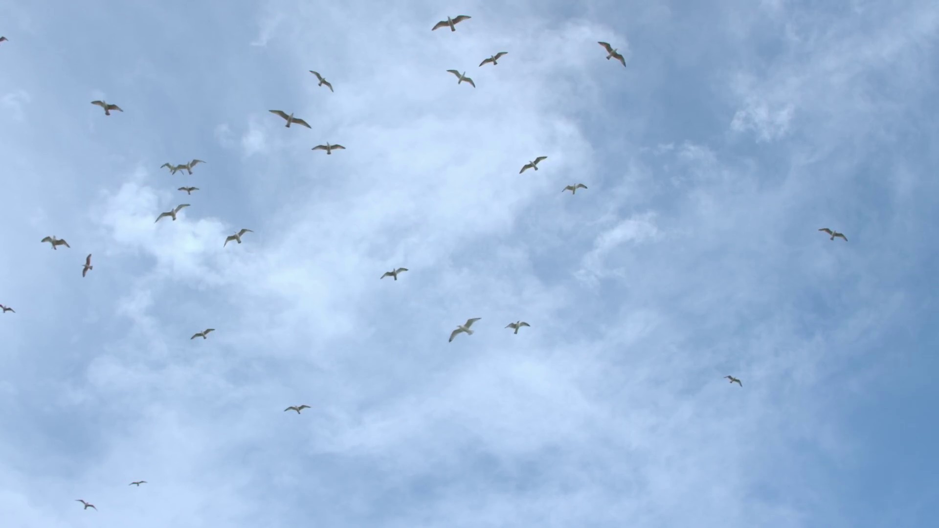 Our Eyes (2015) —  shot,  lighting