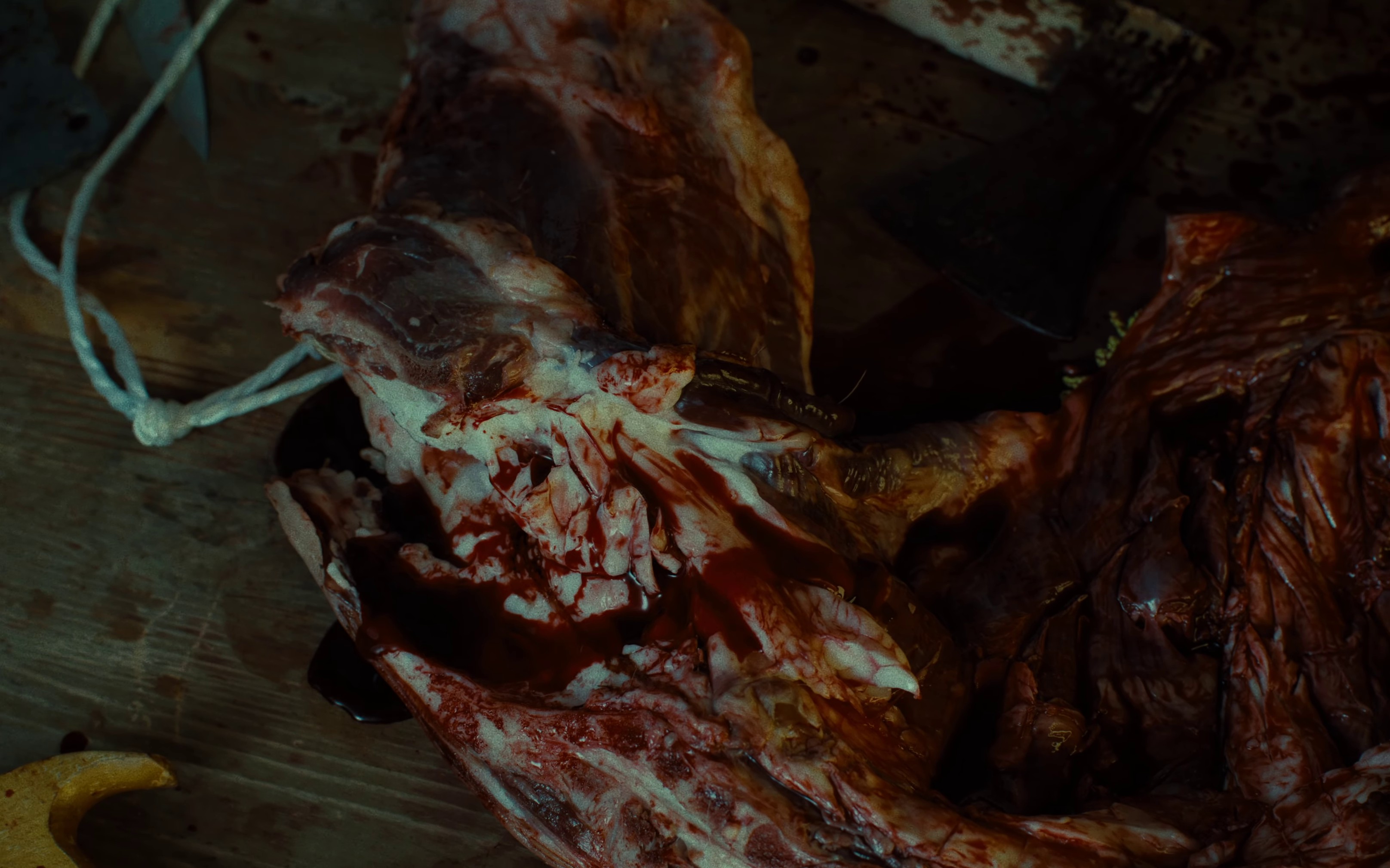 Backbone  (2023) —  shot,  lighting