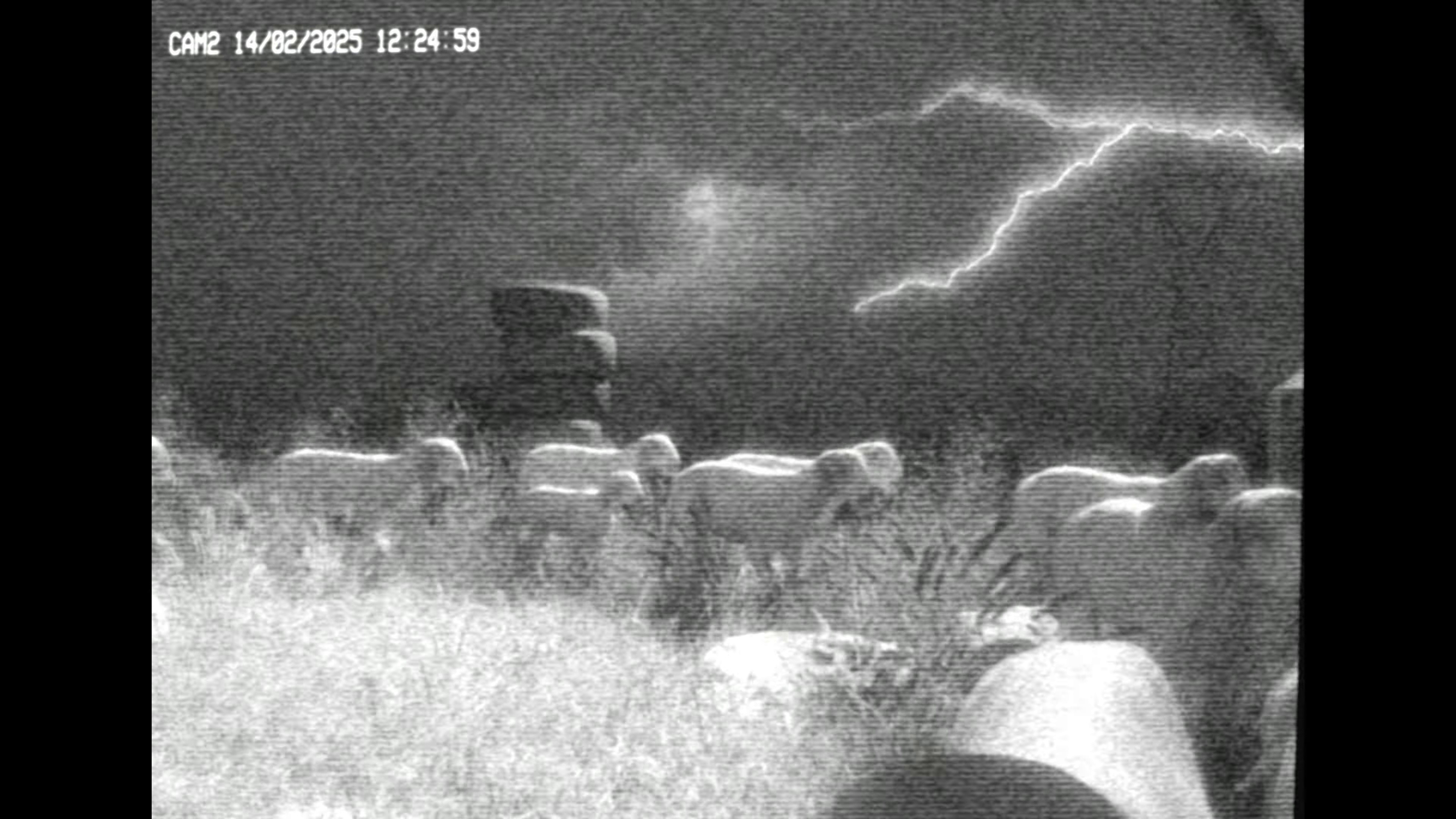 Hocus Pocus (2024) —  shot,  lighting