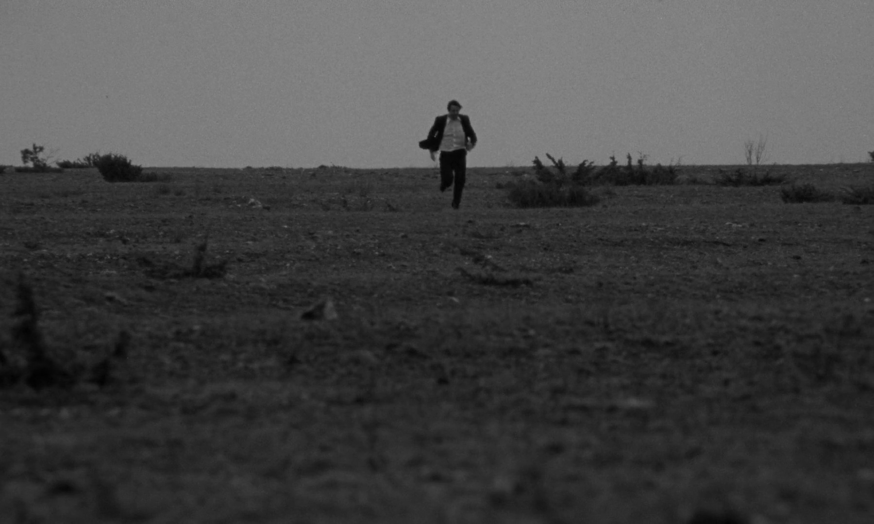 My Love For You (2024) —  shot,  lighting