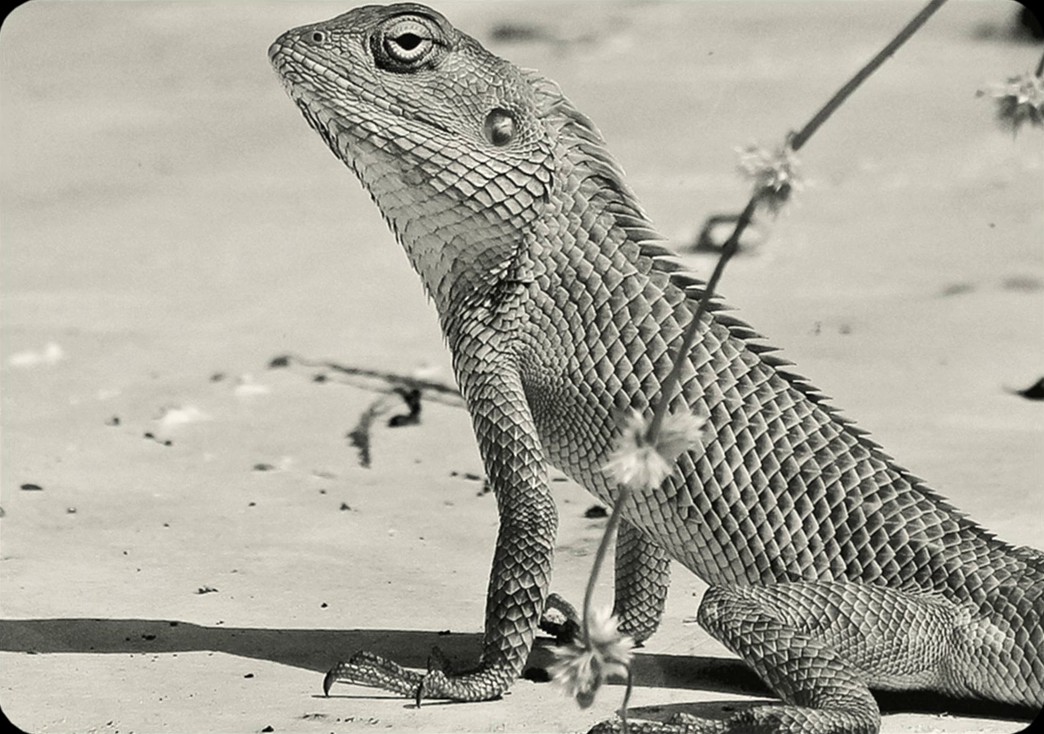 Aatmapamphlet (2023) —  shot,  lighting