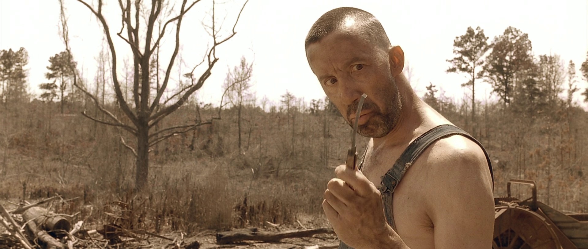 O Brother, Where Art Thou? (2000) —  shot,  lighting