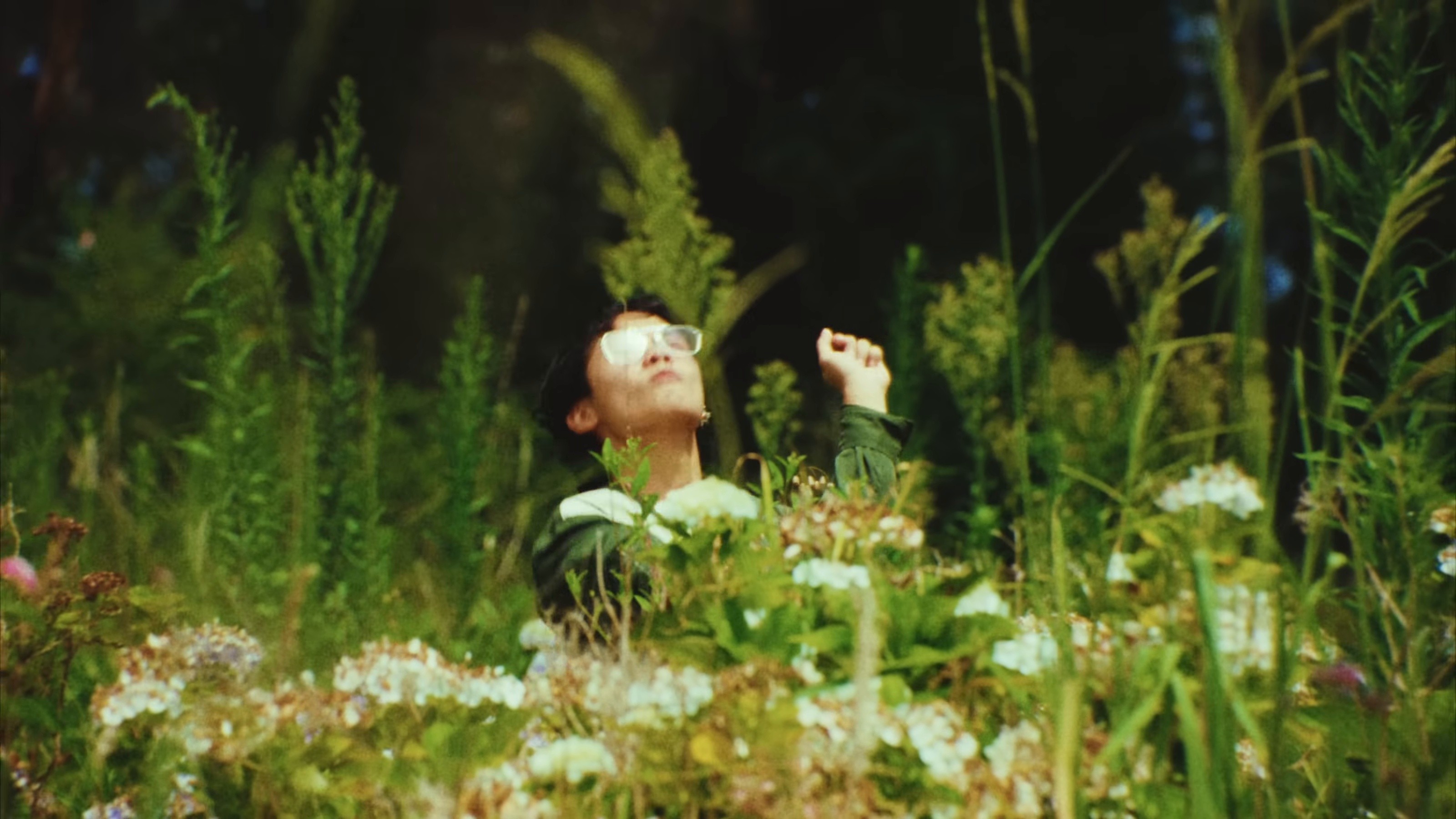 Dandelion (2025) —  shot,  lighting