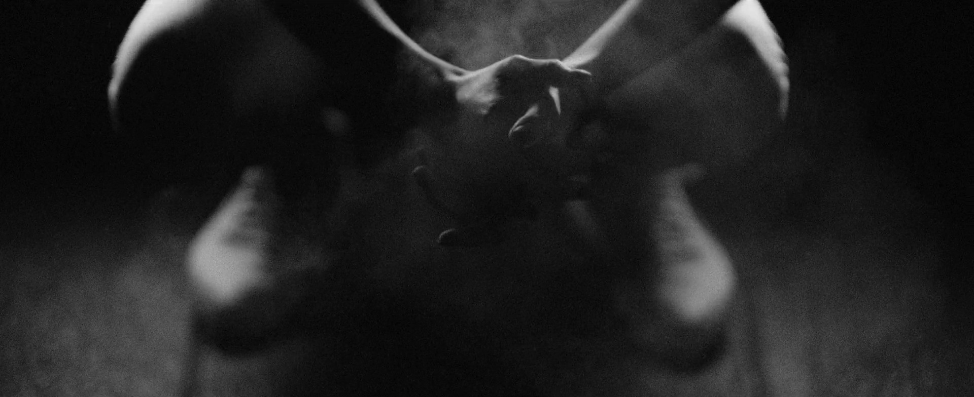 "Moment" | Xu Yingming x NexGard | DC (2024) —  shot,  lighting