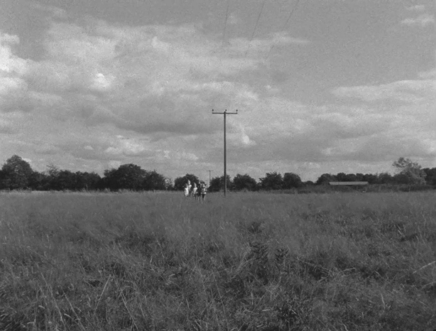 Knock Out Ginger (2014) —  shot,  lighting