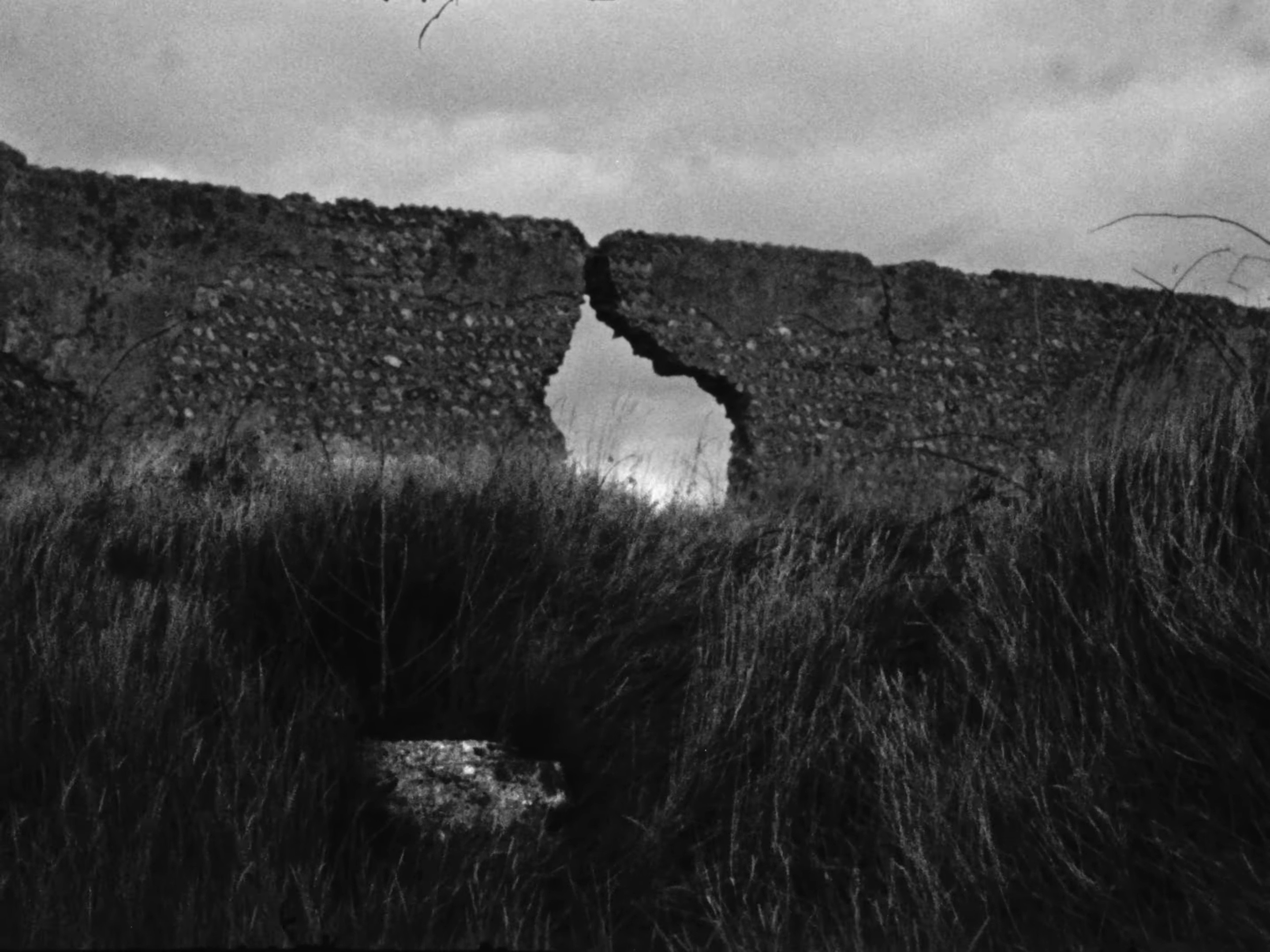 Barbed Wire (2025) —  shot,  lighting