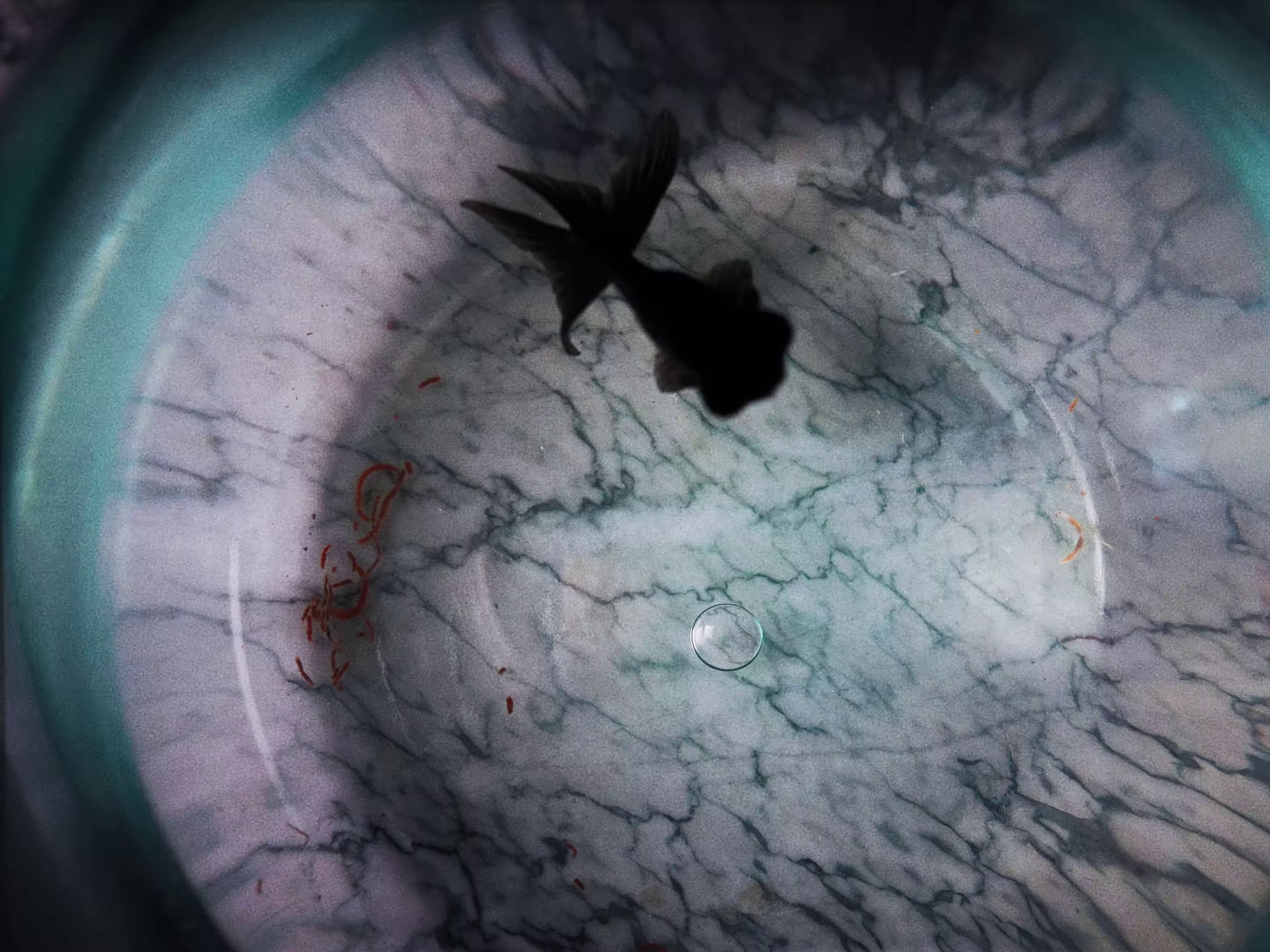 Monstrueux (2023) —  shot,  lighting