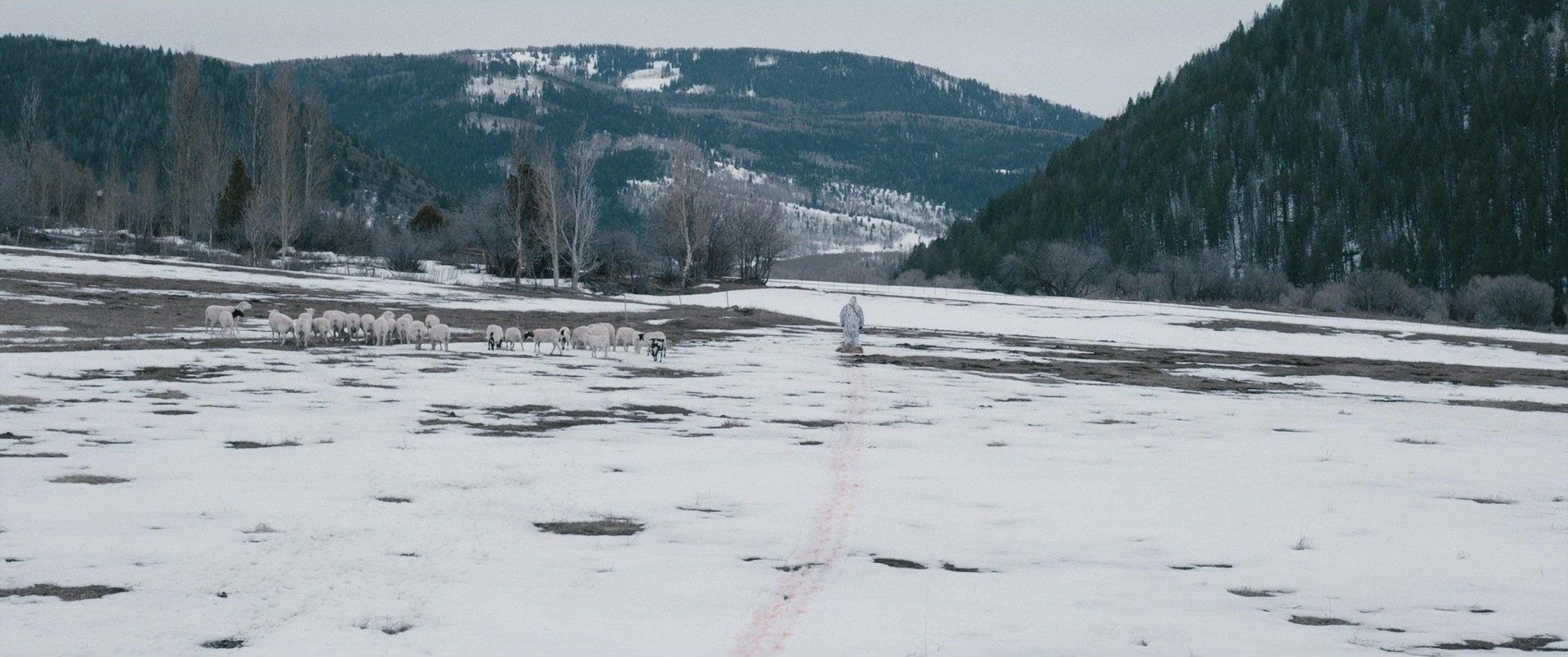 Wind River (2017) —  shot,  lighting