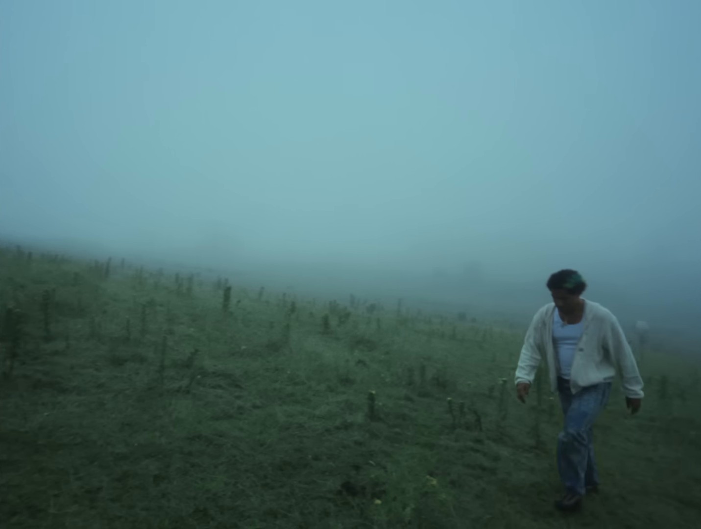 DISCONNECT! (2024) —  shot,  lighting