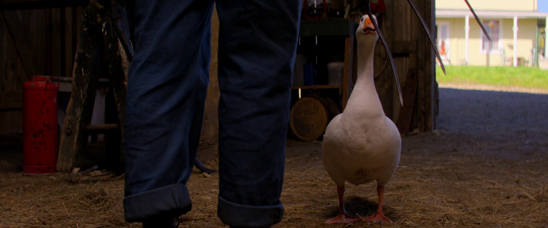 Pearl (2022) —  shot,  lighting