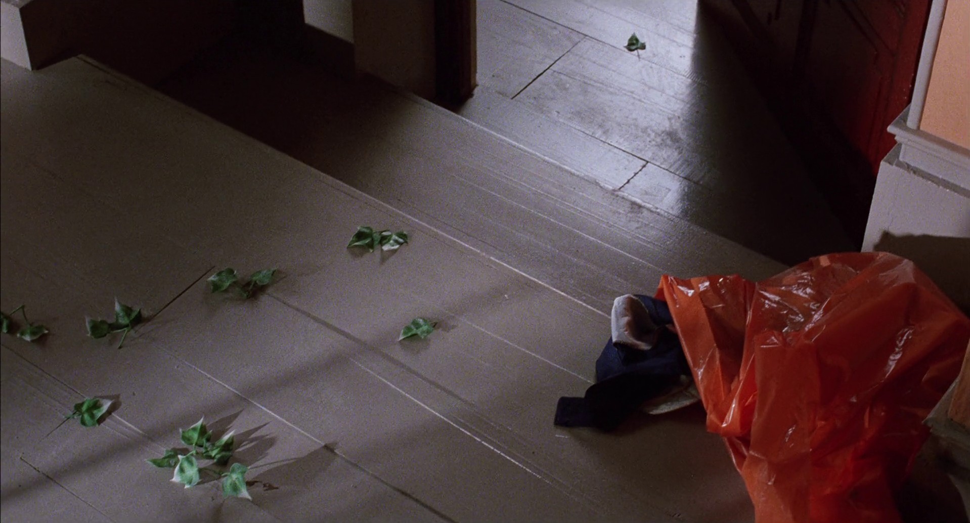 Women on the Verge of a Nervous Breakdown (1988) —  shot,  lighting