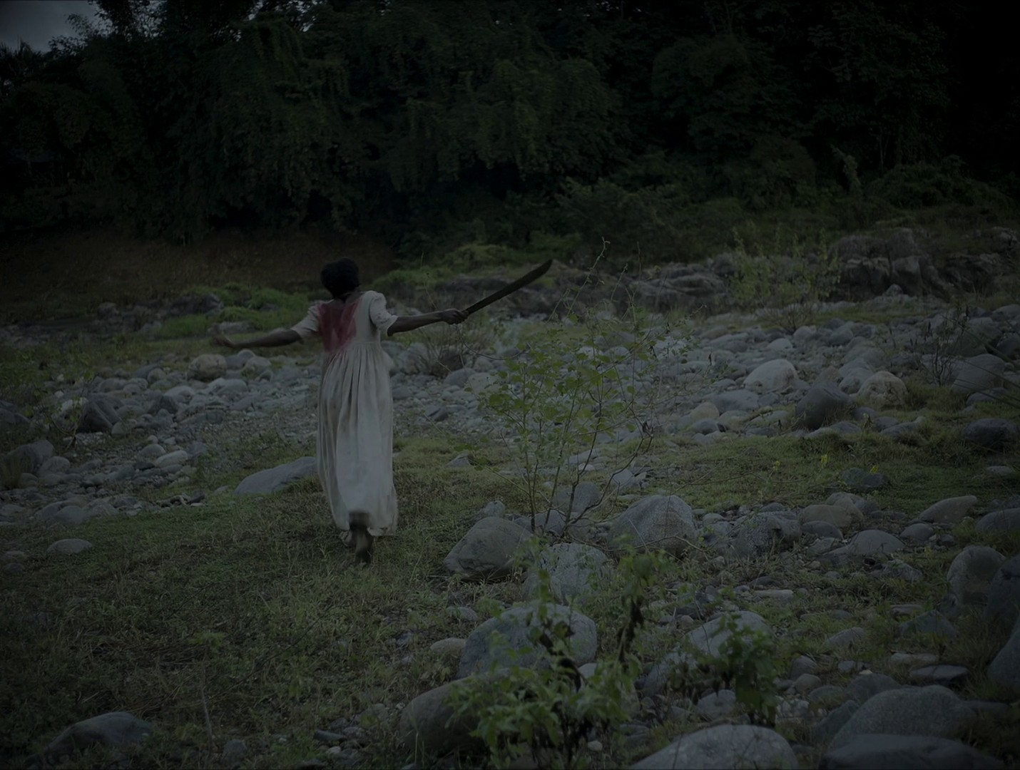 Parsley (2022) —  shot,  lighting