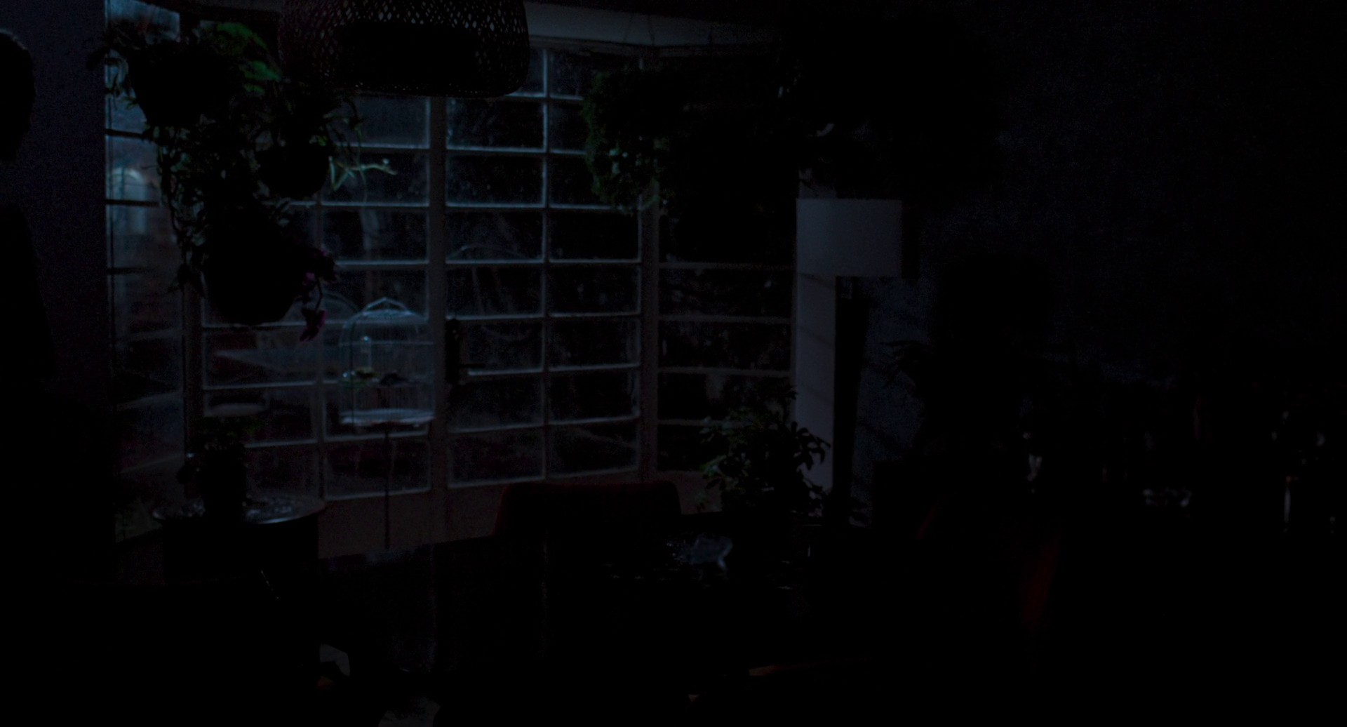 Memoria (2021) —  shot,  lighting