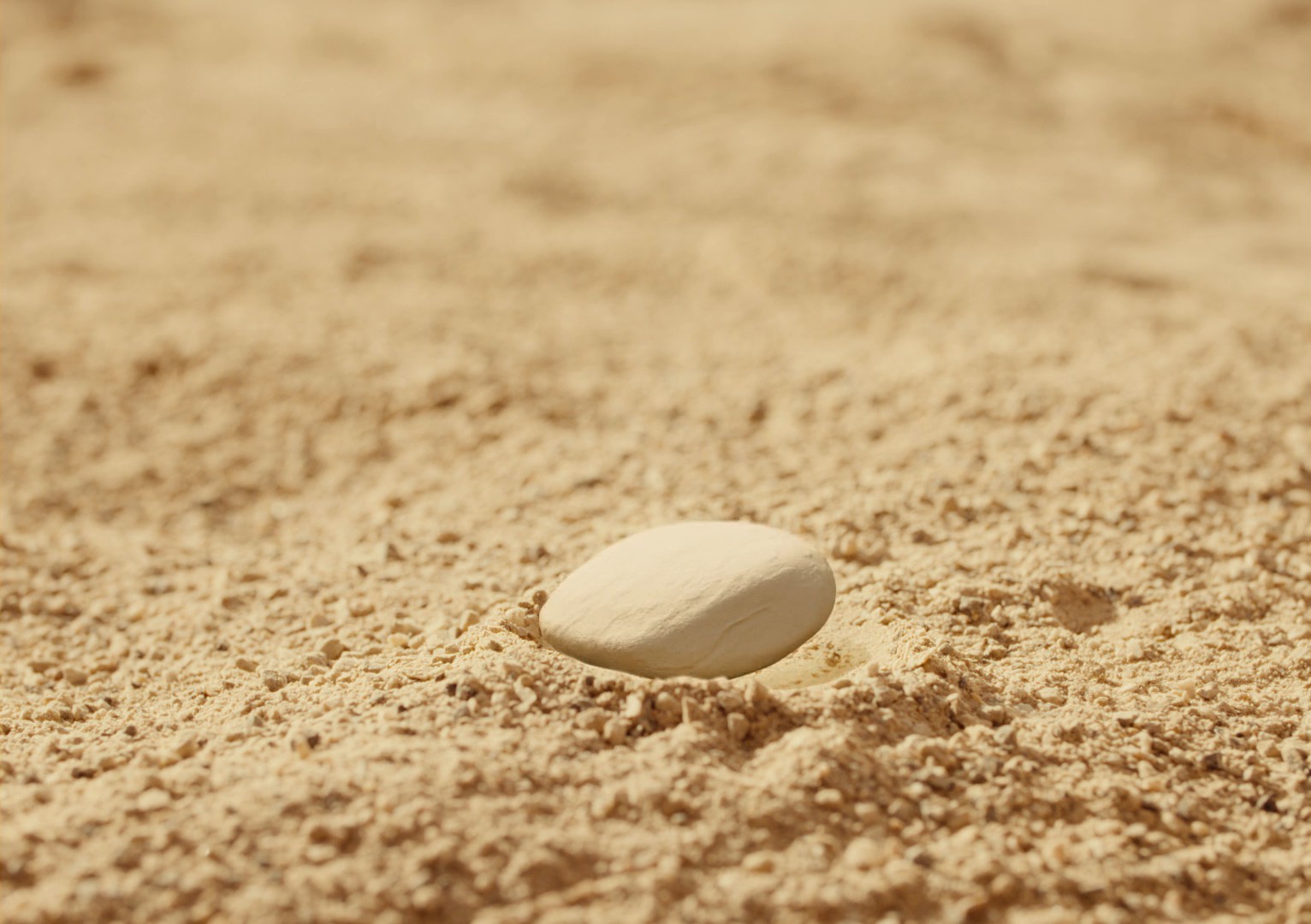 NBG NEXT - BEACH (2024) —  shot,  lighting