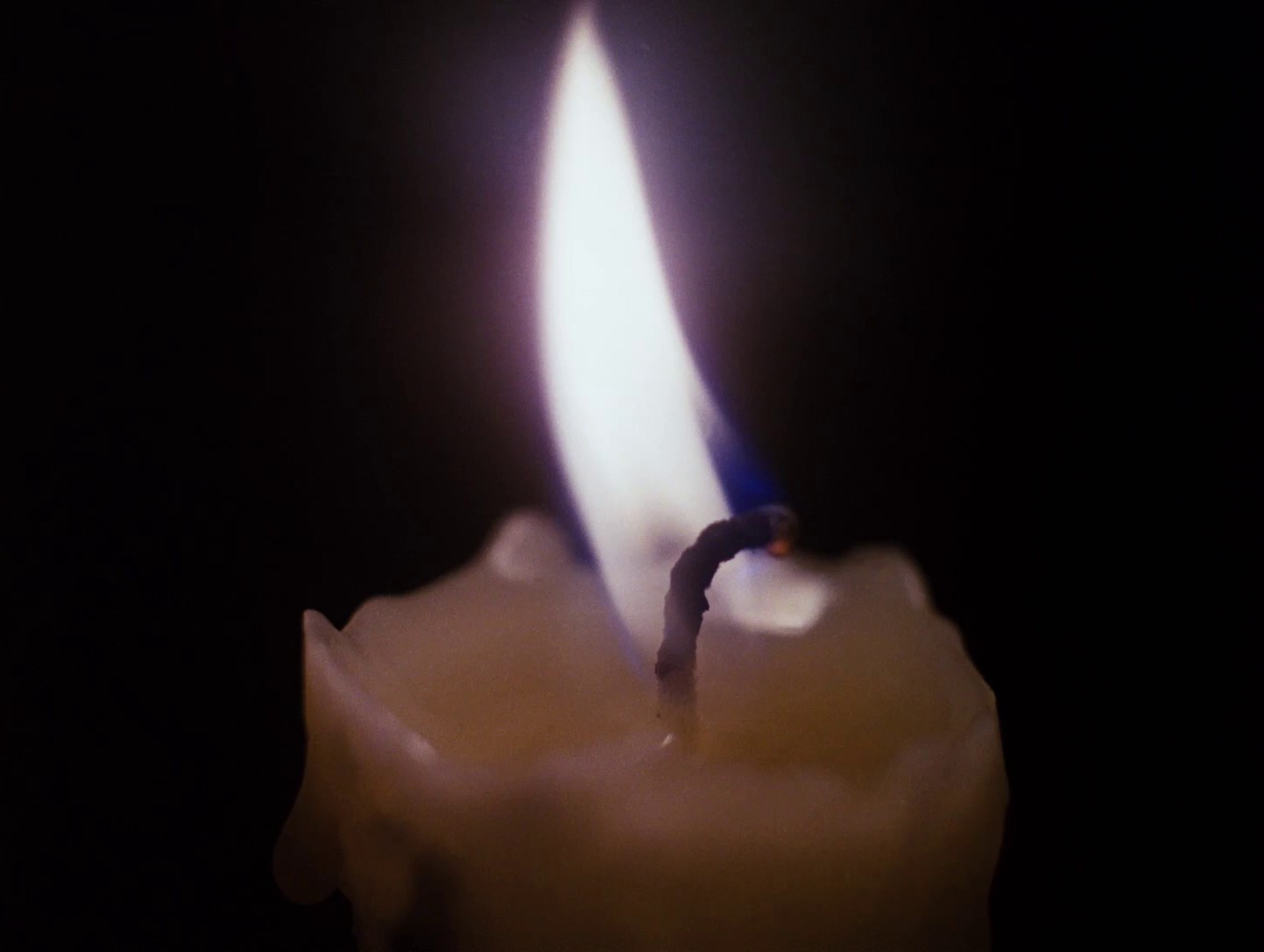 The Millennial Bee (1984) —  shot,  lighting