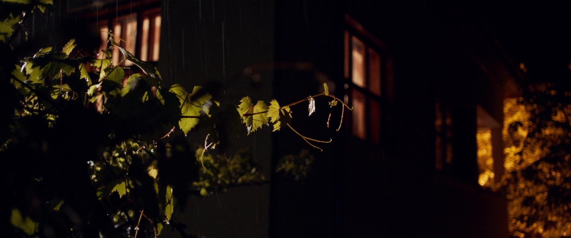 Because I Love Bad Weather (2024) —  shot,  lighting