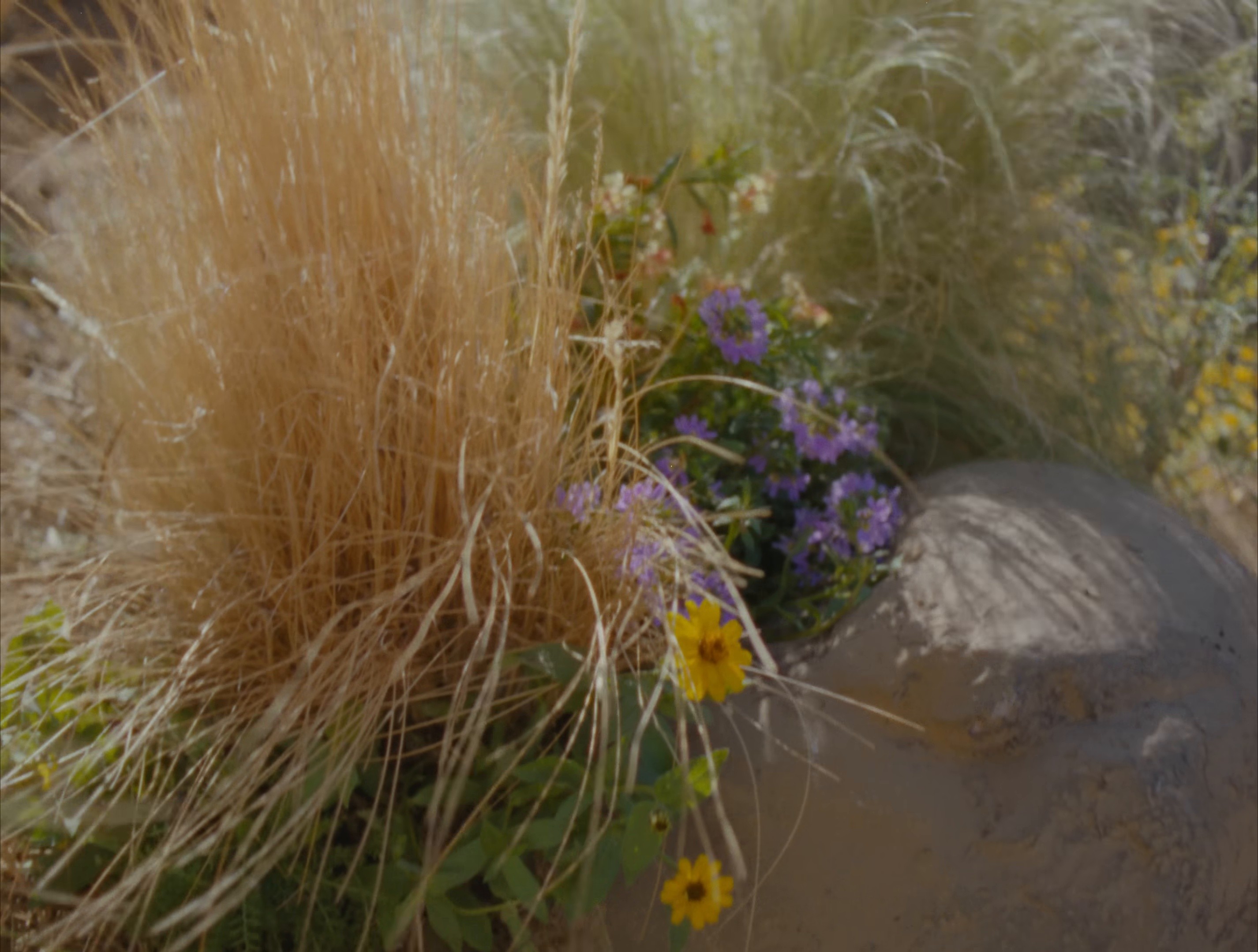 The Architect (2024) —  shot,  lighting