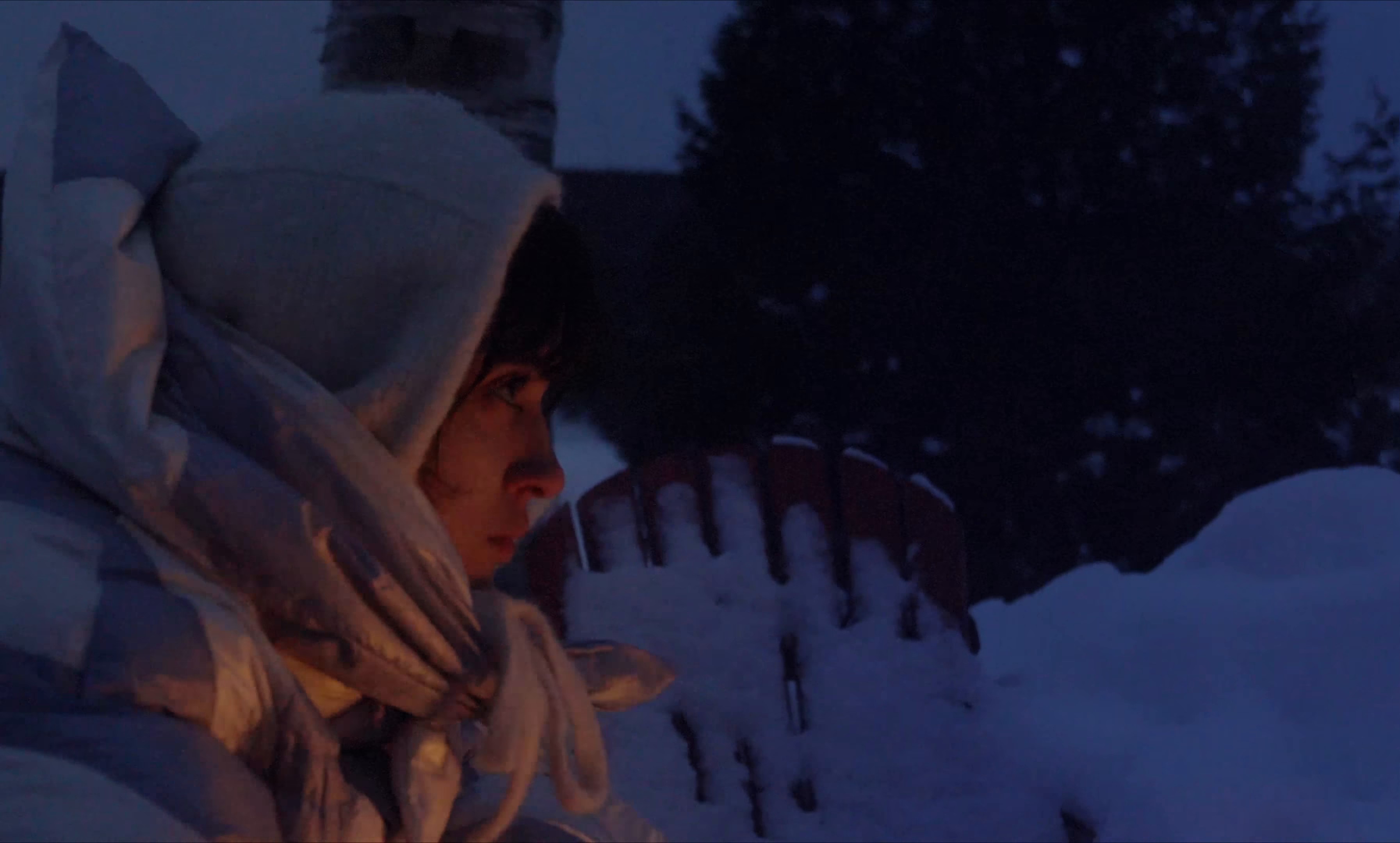 saisons, le film: hiver (2024) —  shot,  lighting