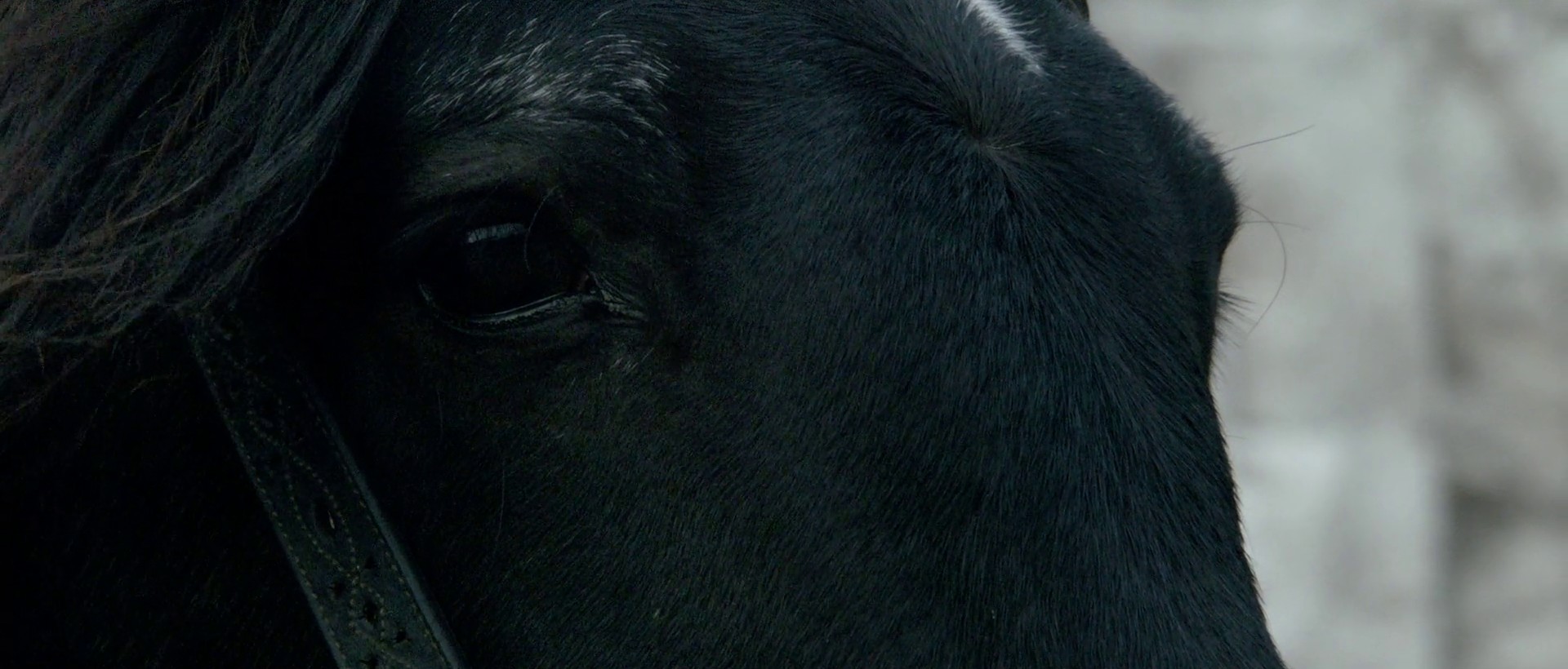 Neptune (2020) —  shot,  lighting