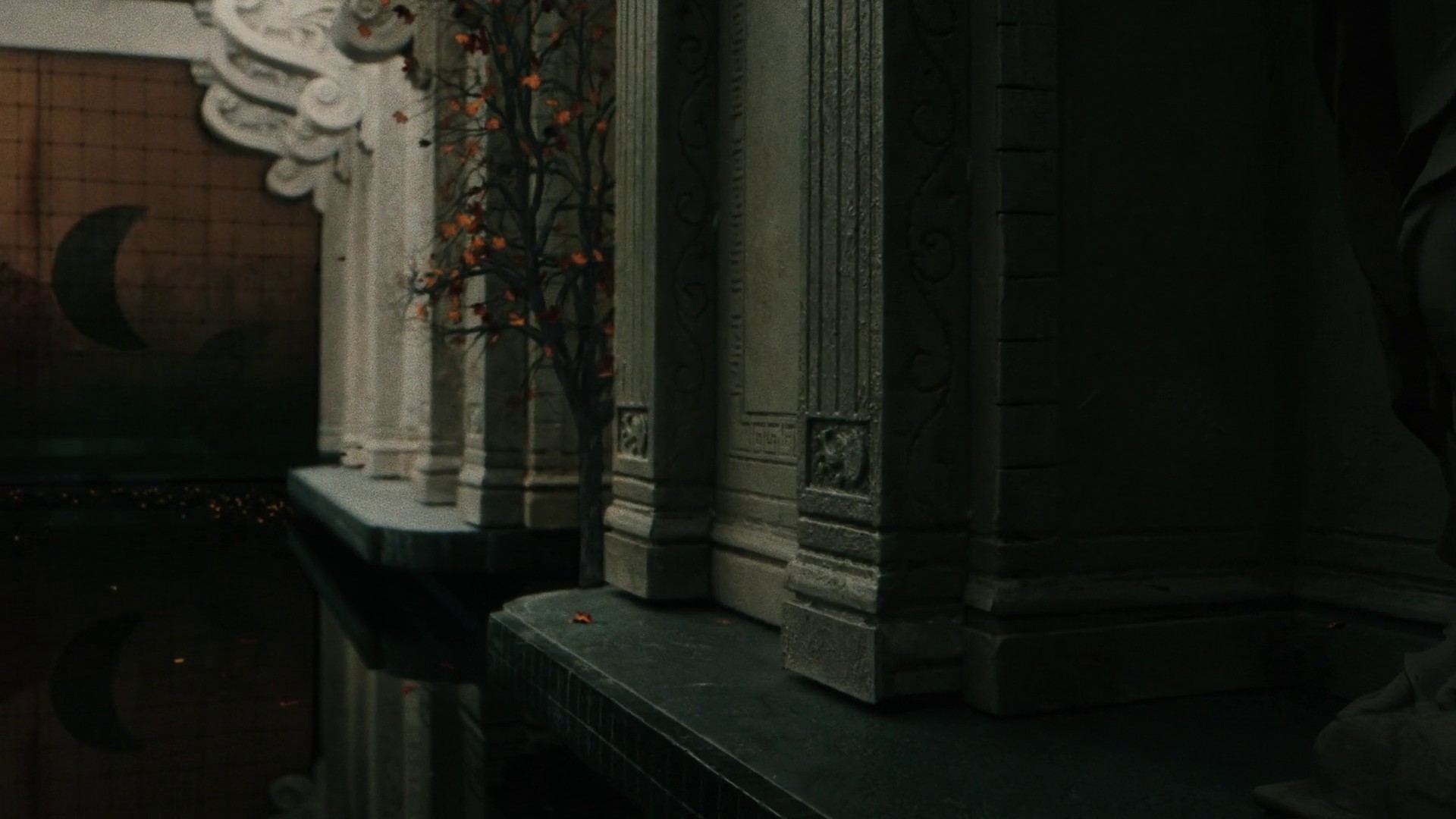 Dream never dies  (2021) —  shot,  lighting