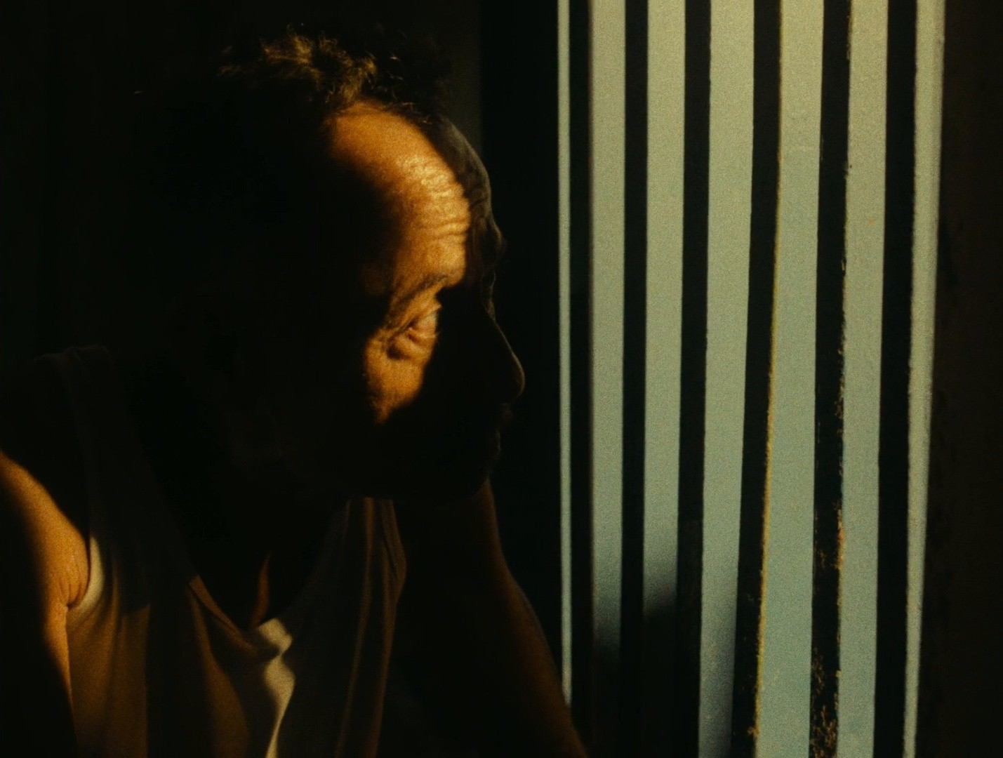 Pepe (2024) —  shot,  lighting