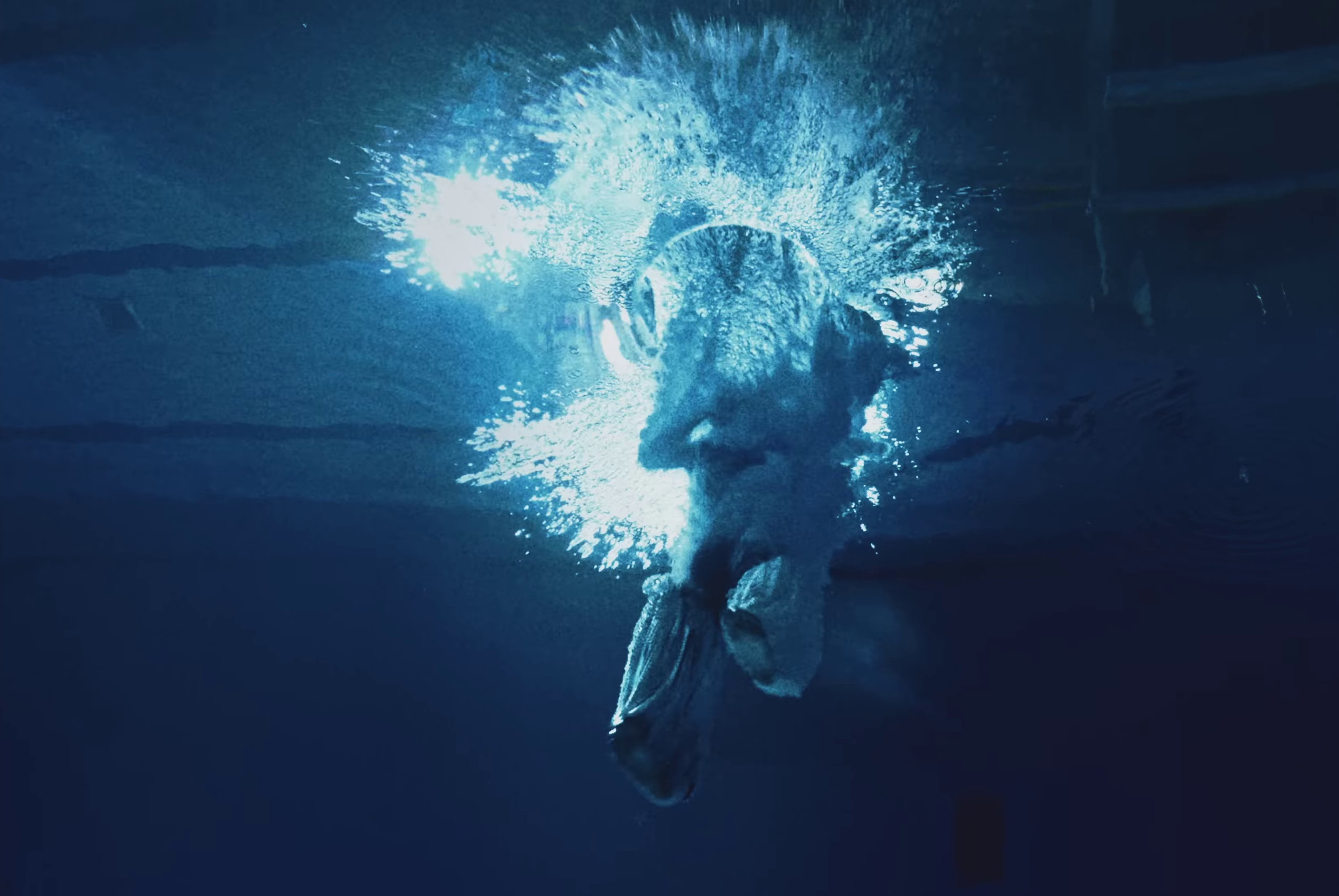 Now Or Never (2023) —  shot,  lighting