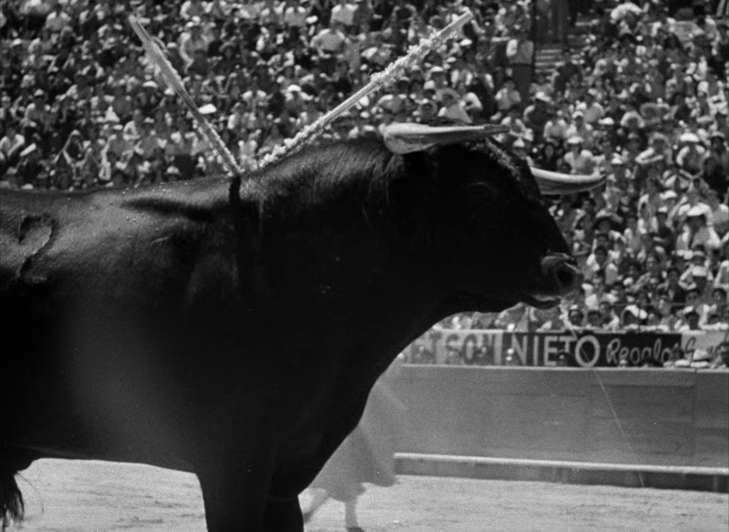 Bullfighter and the Lady (1951) —  shot,  lighting