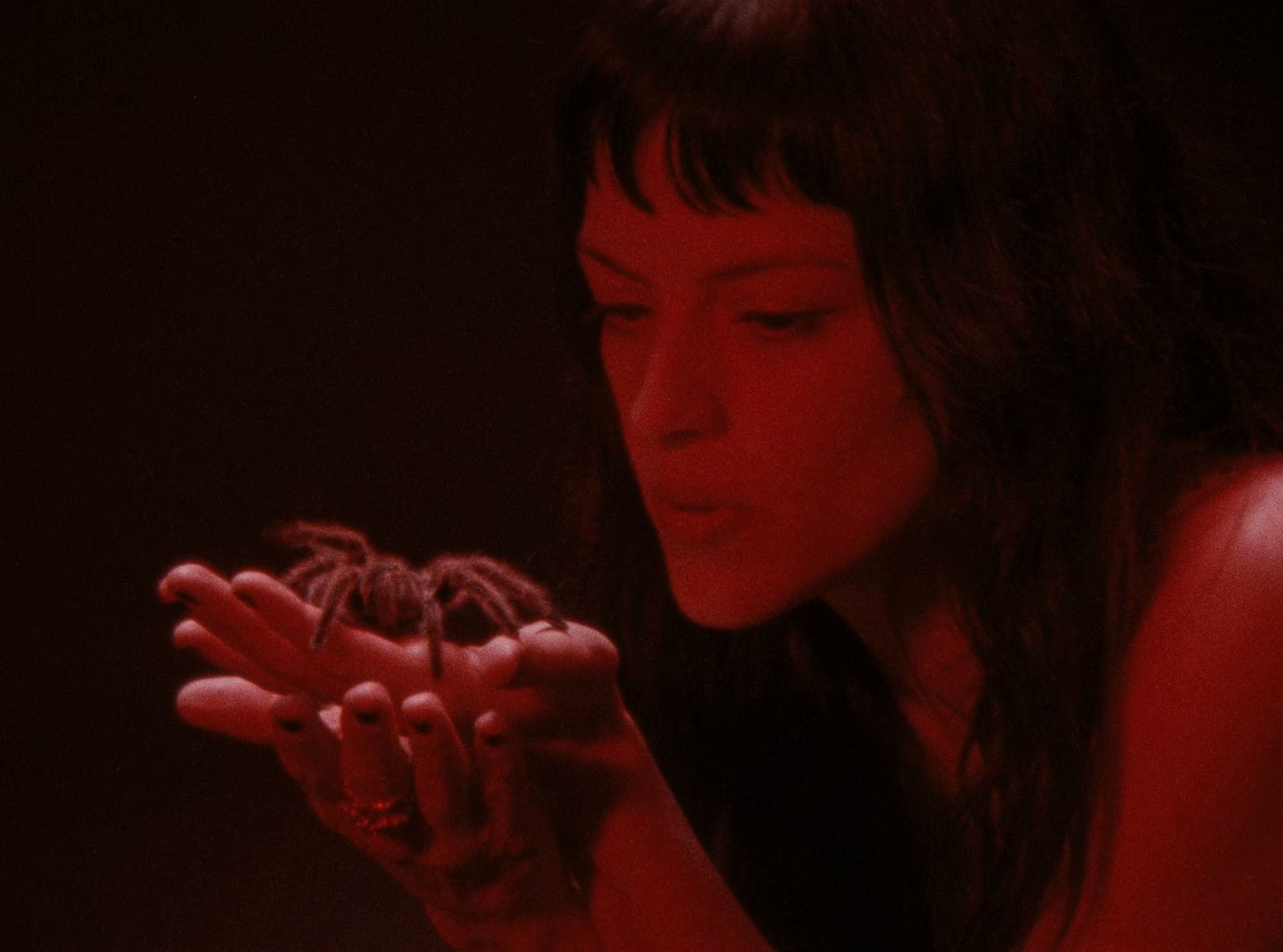 Not the Only One (2026) —  shot,  lighting