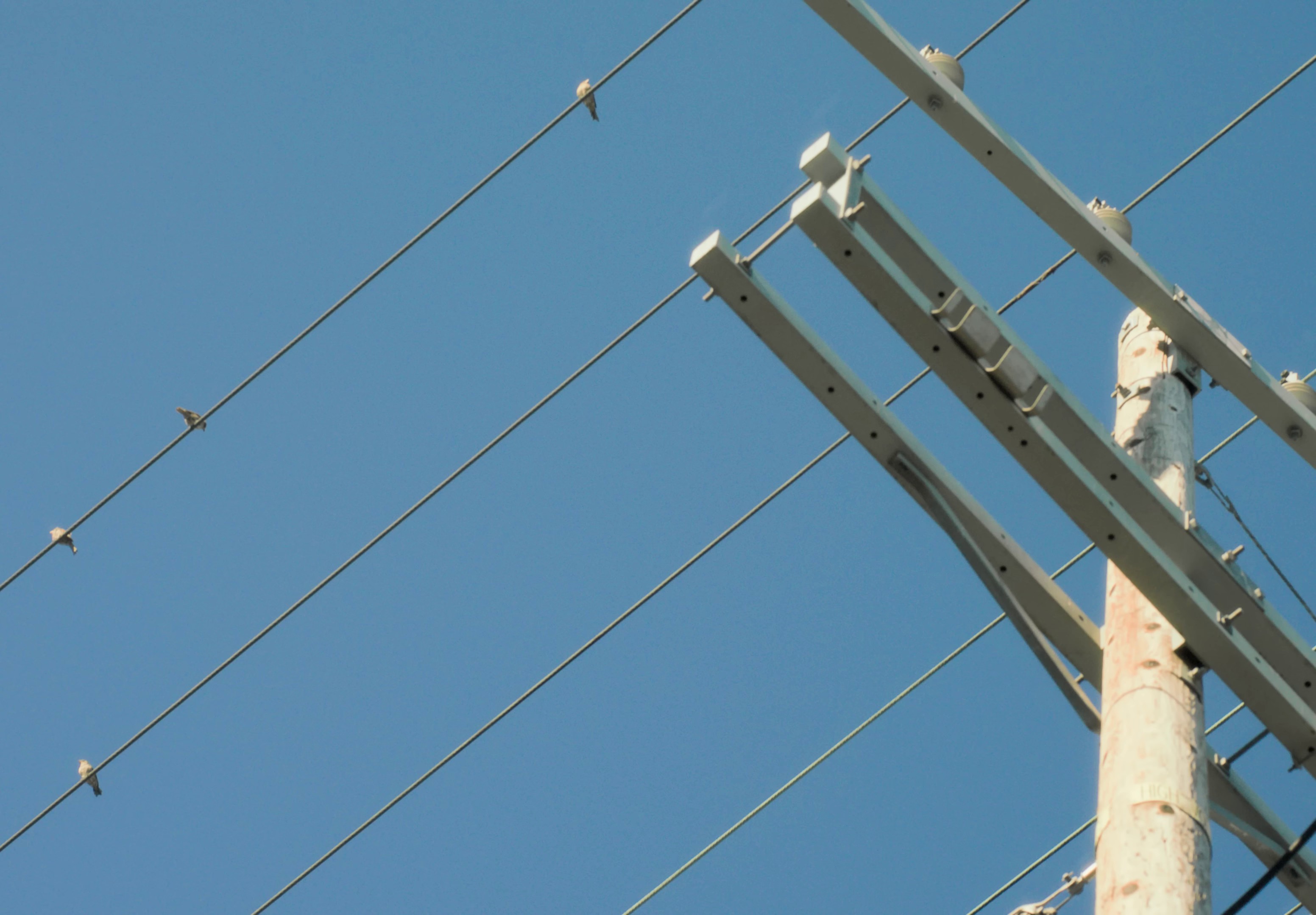 More Than A Love Song (2023) —  shot,  lighting