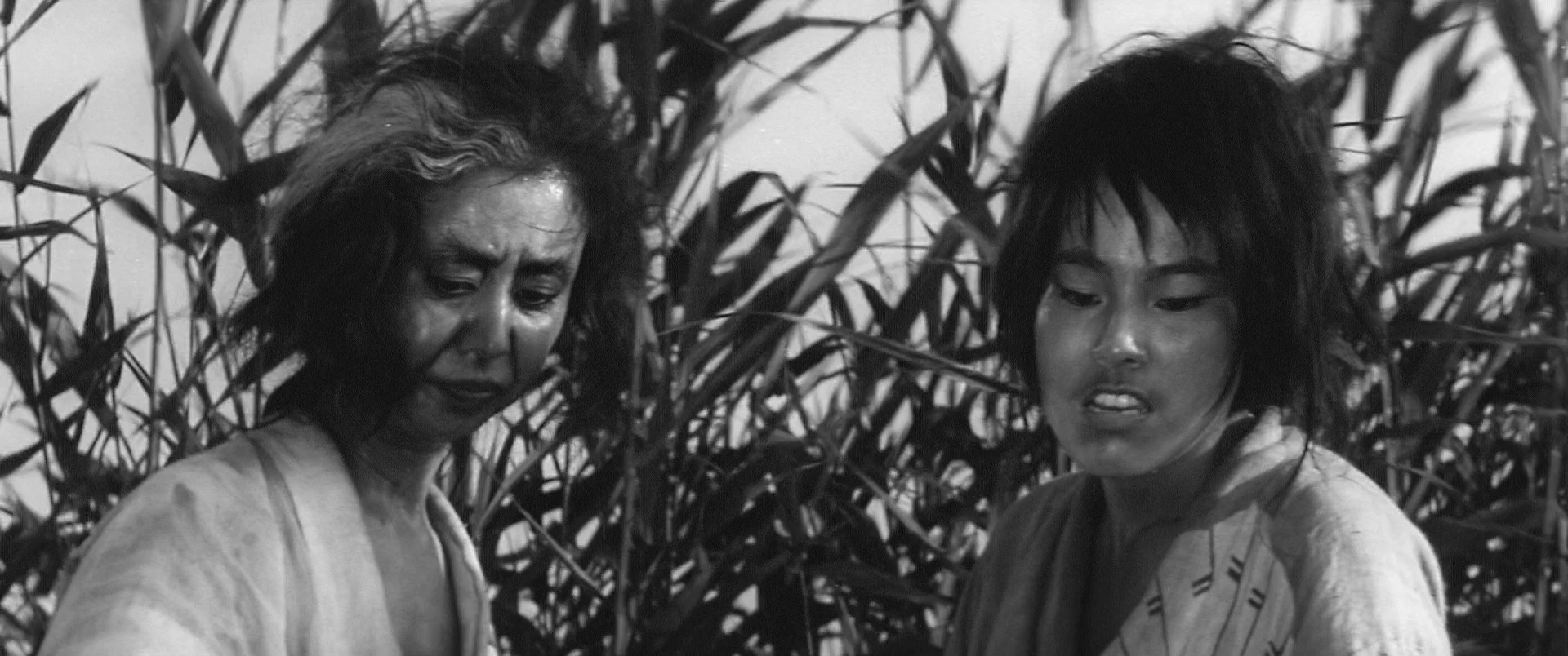 Onibaba (1964) —  shot,  lighting