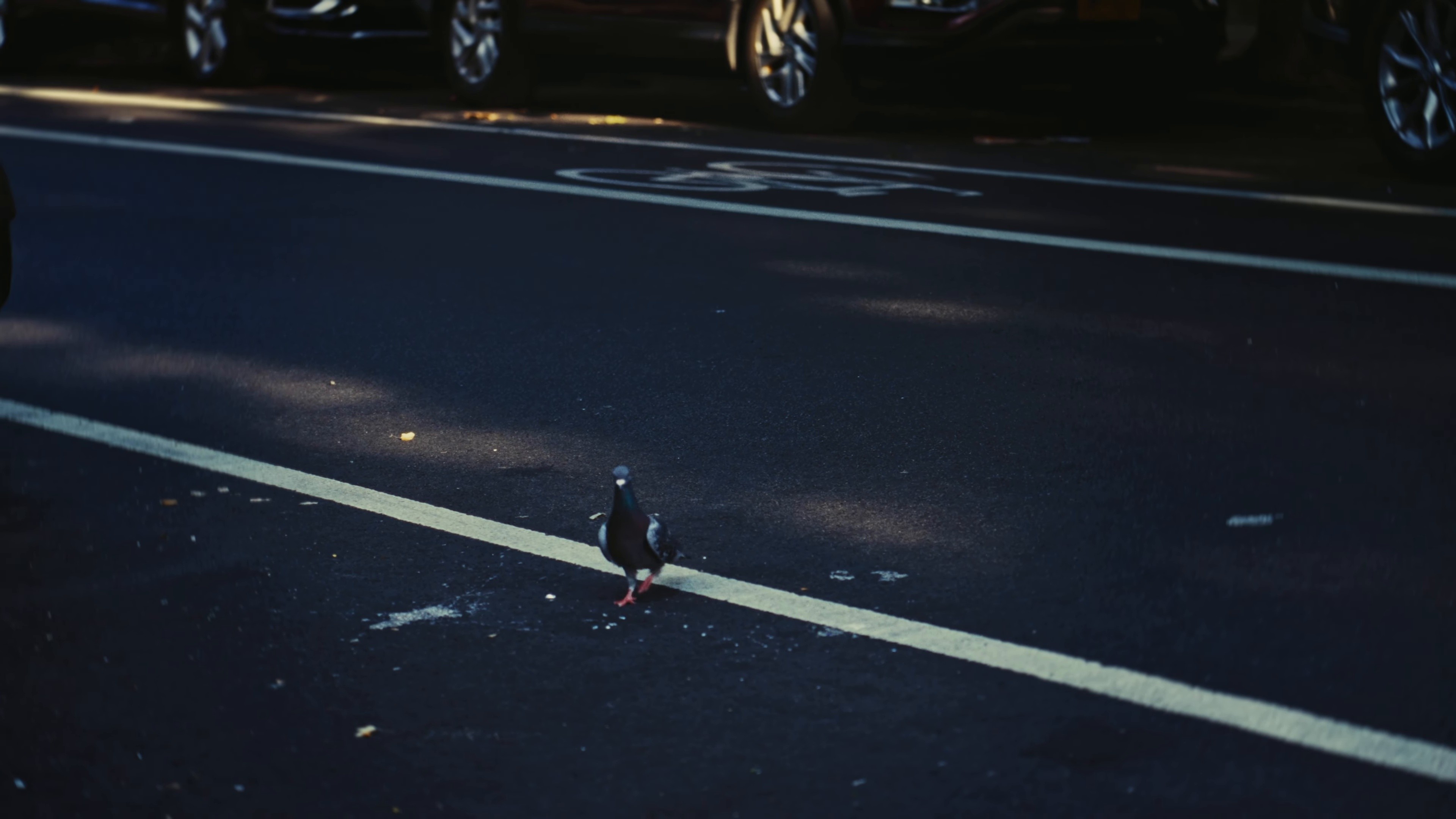 Good Faith (2026) —  shot,  lighting