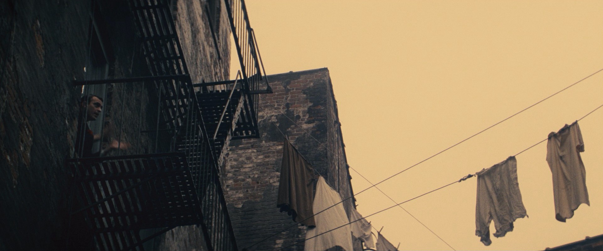 The Immigrant (2013) —  shot,  lighting