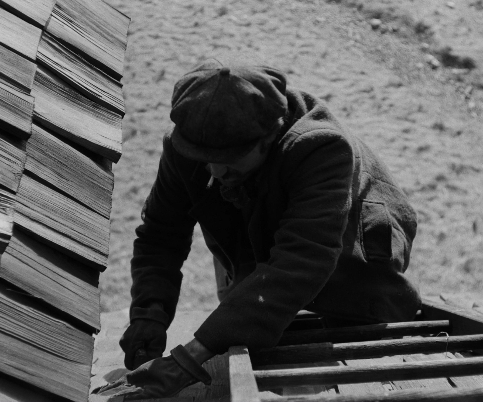 The Lighthouse (2019) —  shot,  lighting