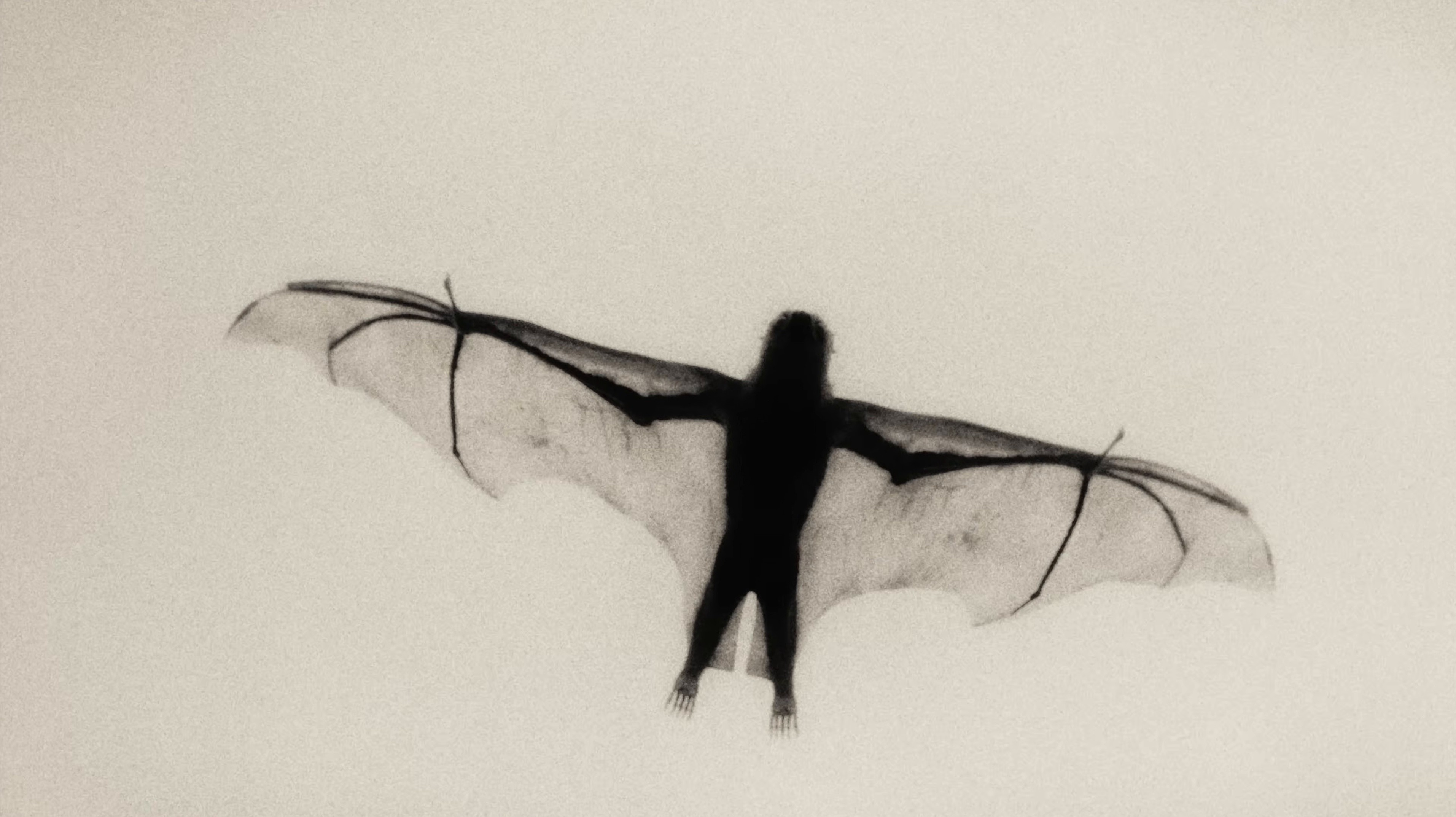 MAL AIMÉS (2026) —  shot,  lighting