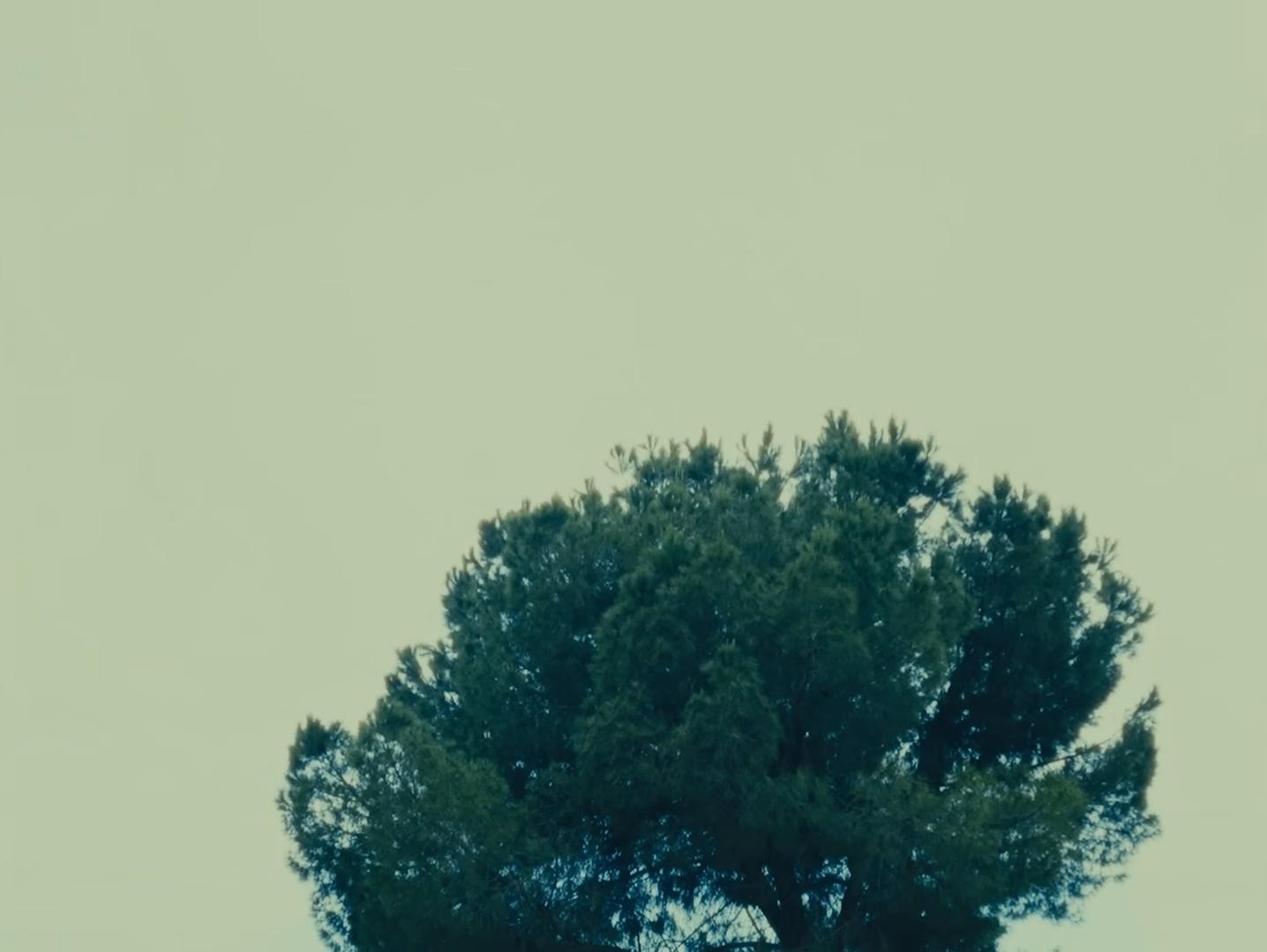 WATCH THE PARTY (2025) —  shot,  lighting