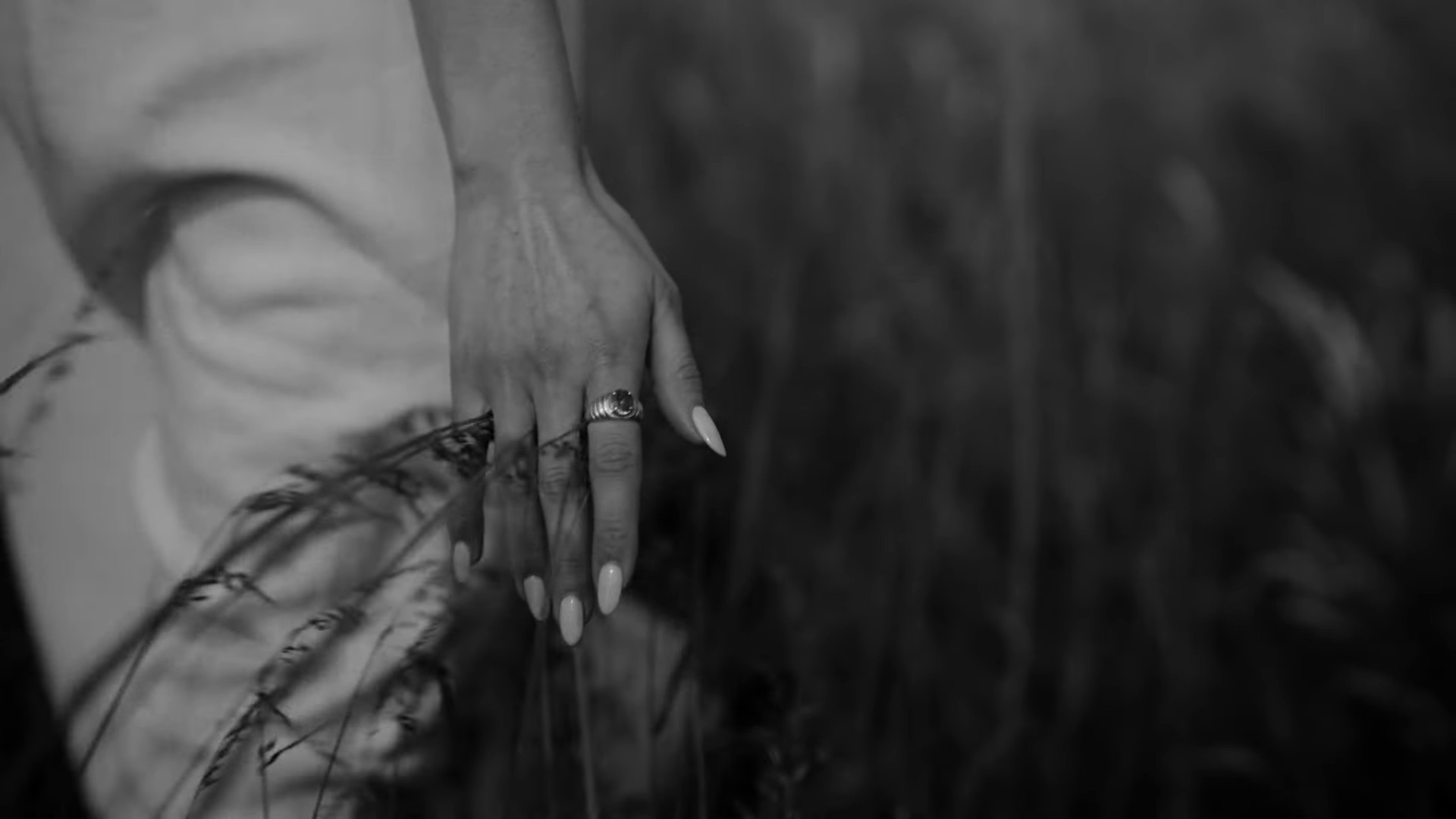 Koalas (2024) —  shot,  lighting