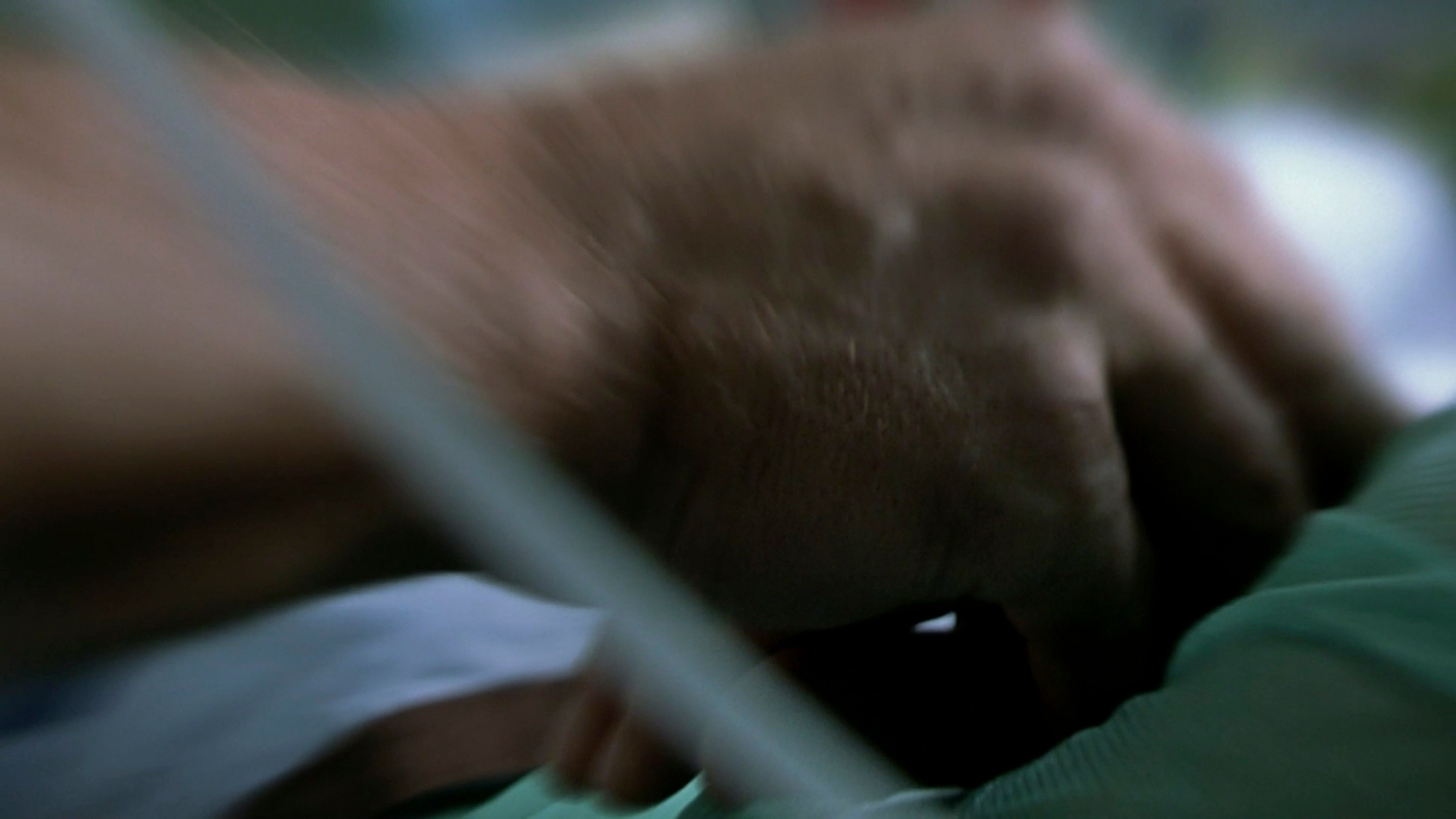 The Diving Bell and the Butterfly (2007) —  shot,  lighting