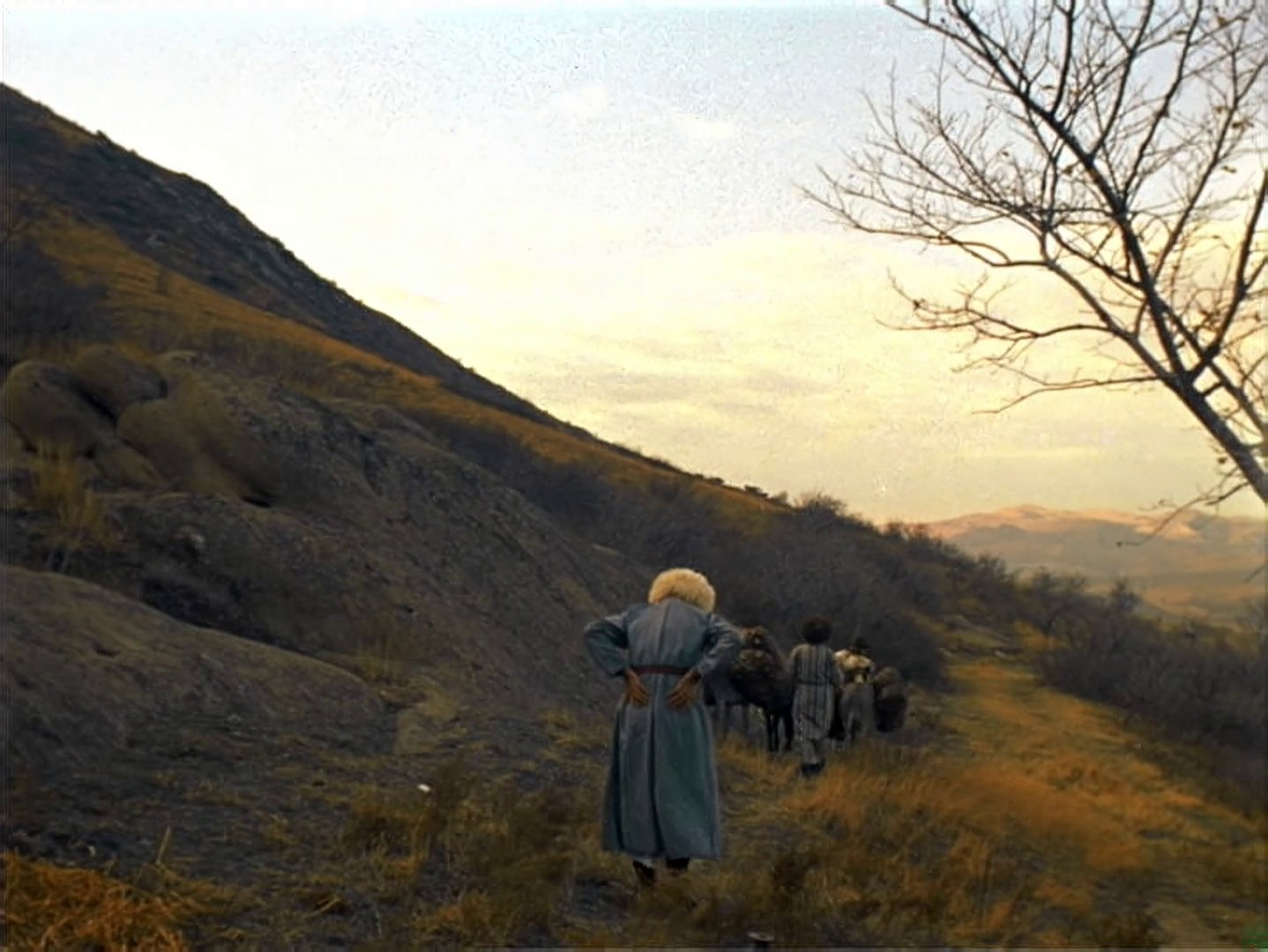 The Legend of Suram Fortress (1986) —  shot,  lighting